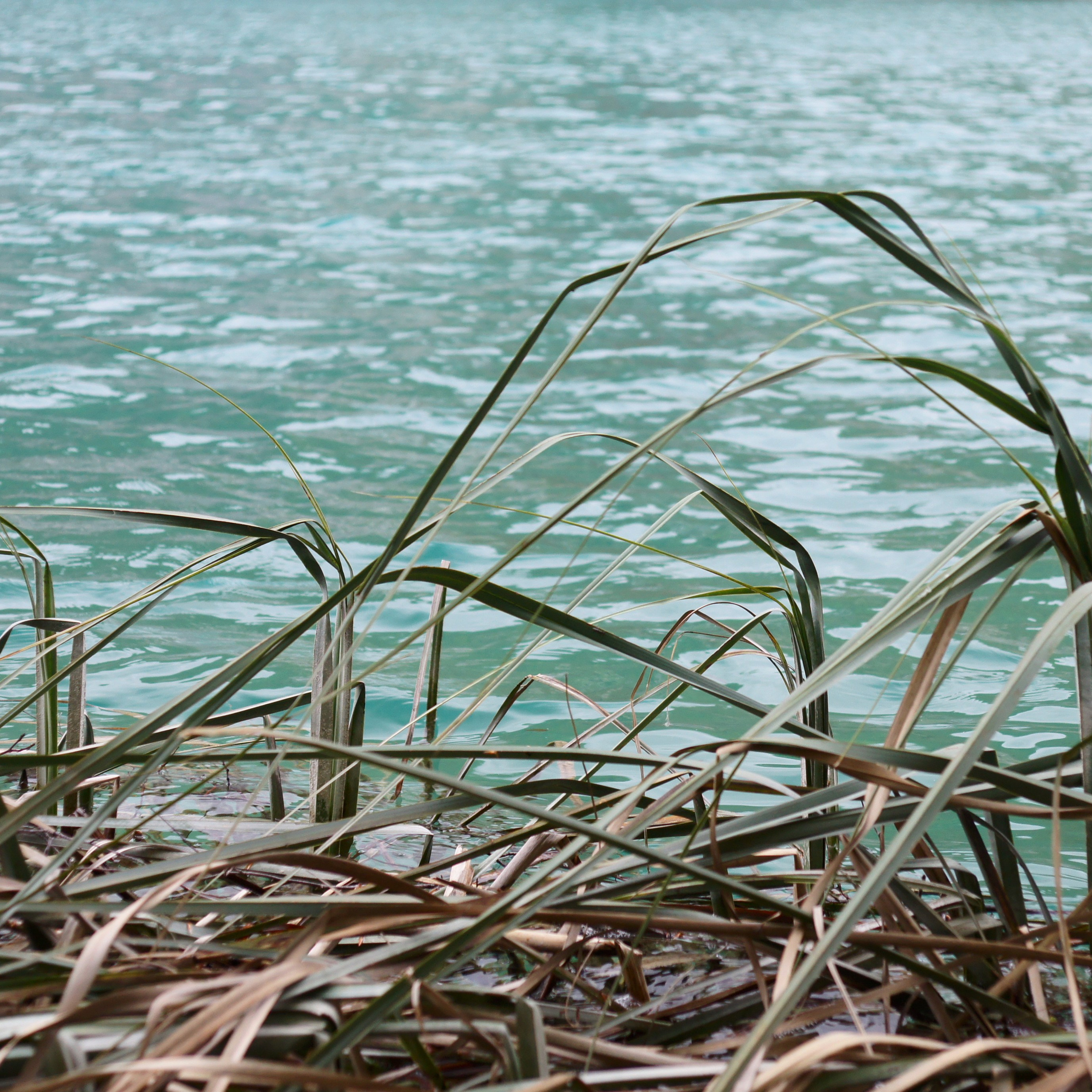 Хорватия. Своя Мастерская
