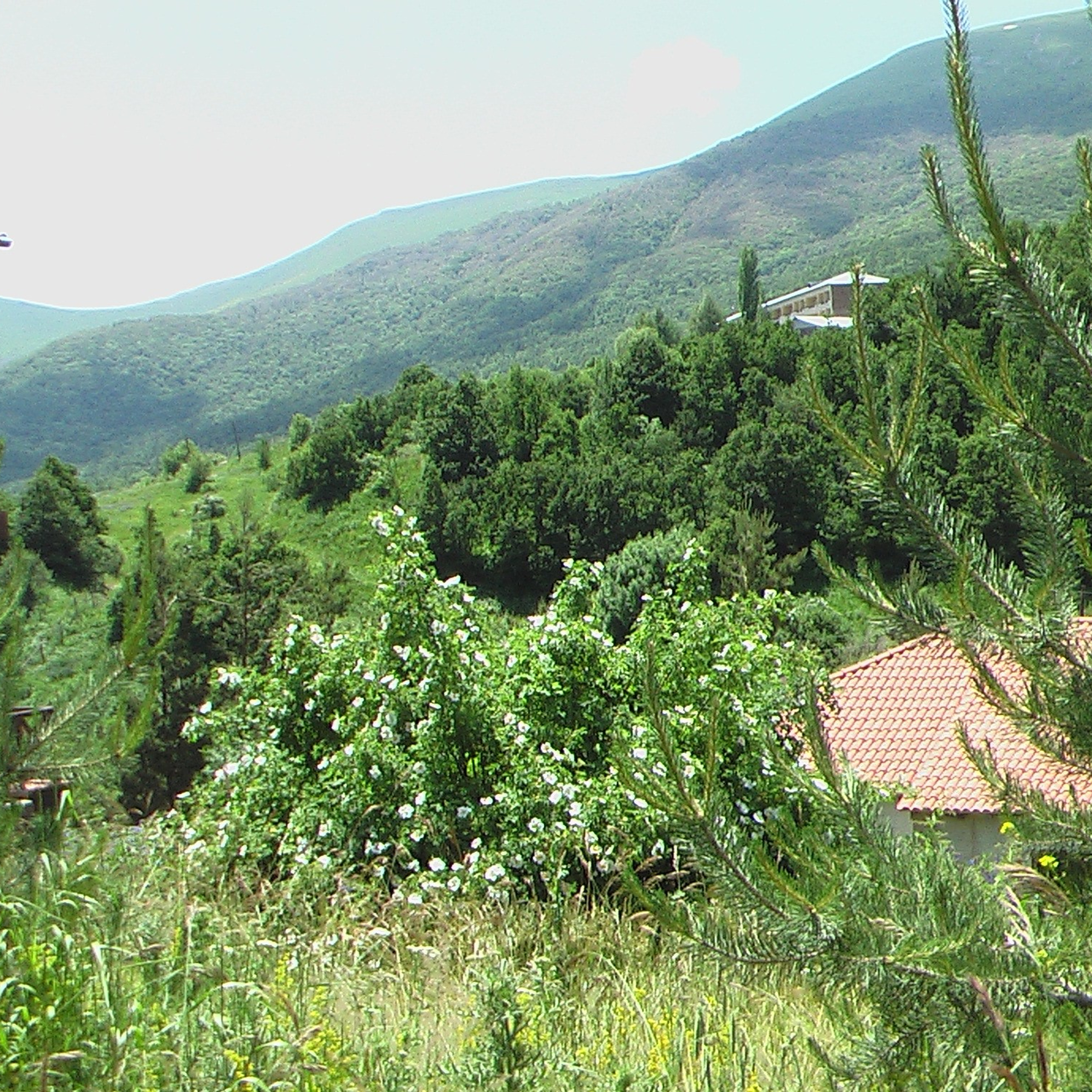 Армения. Своя Мастерская