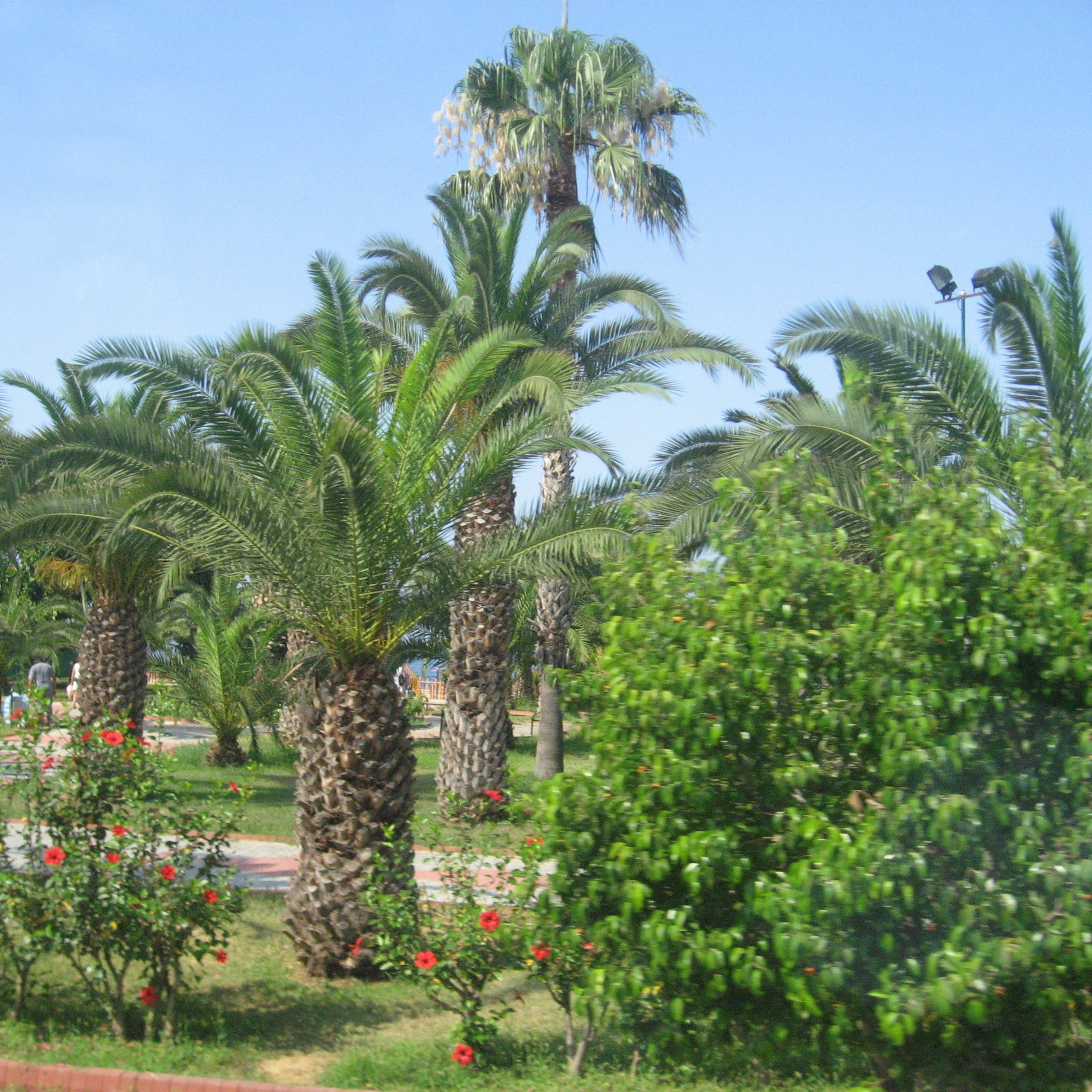 Турция. Своя Мастерская