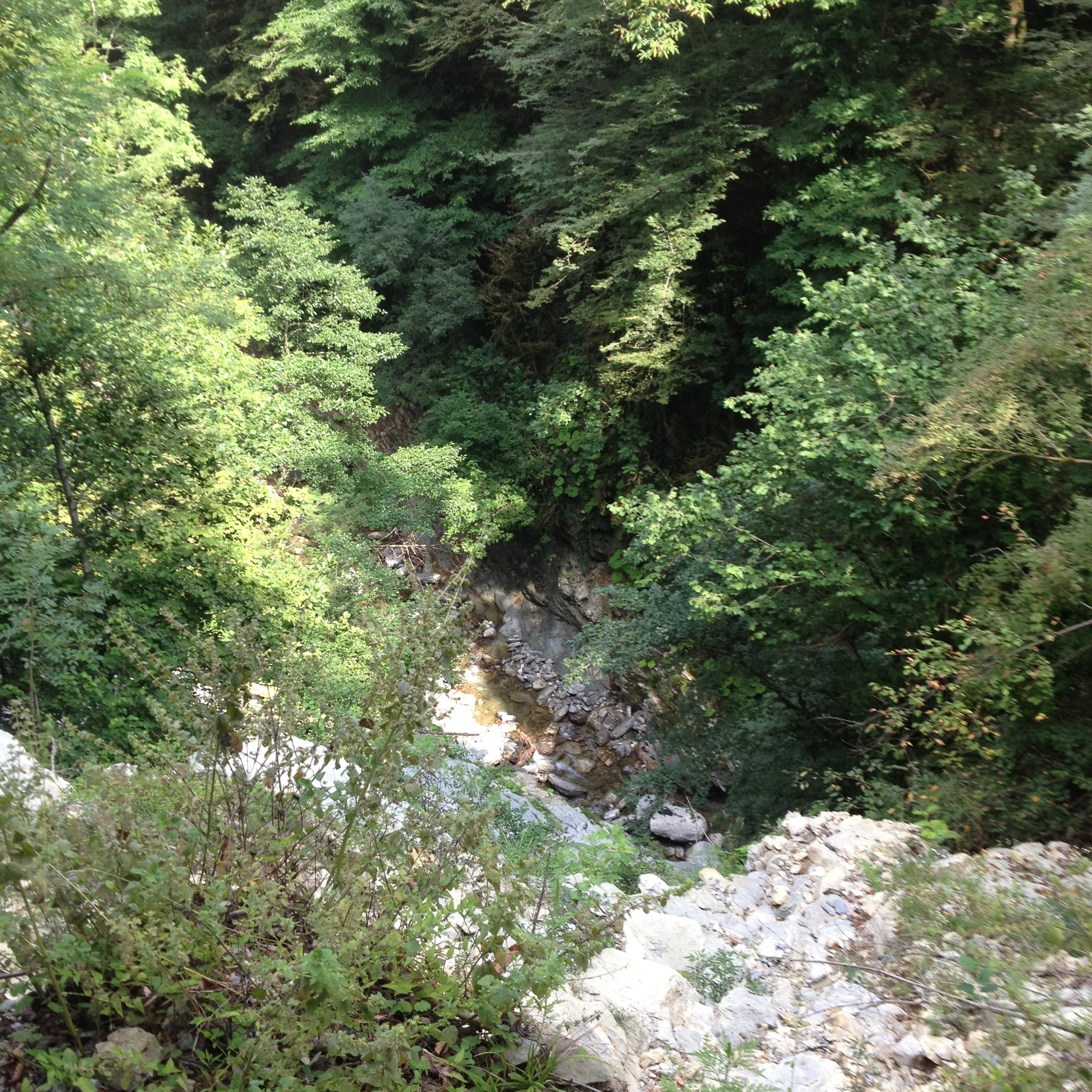 Лоо. Своя Мастерская