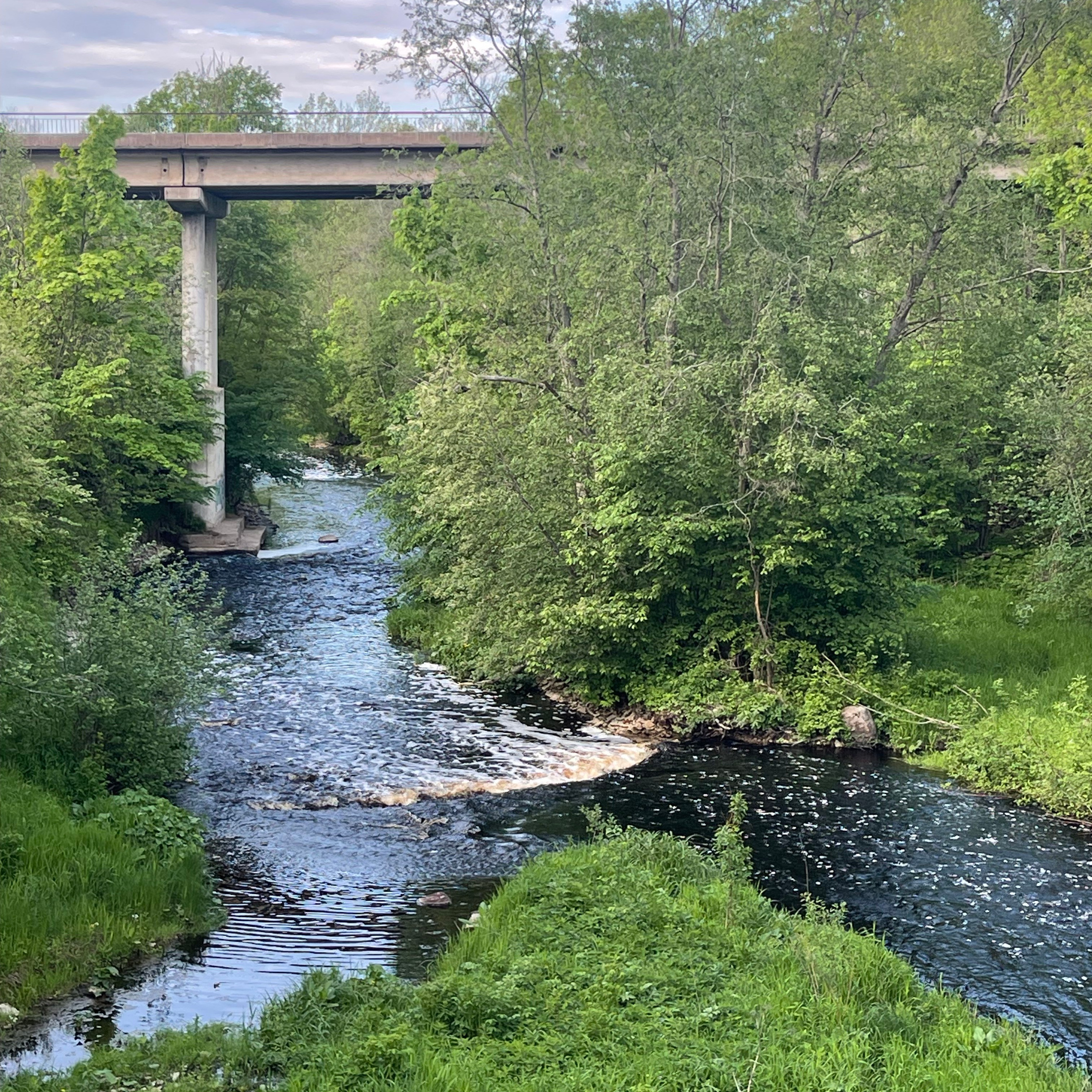 Ладога 2025. Своя Мастерская