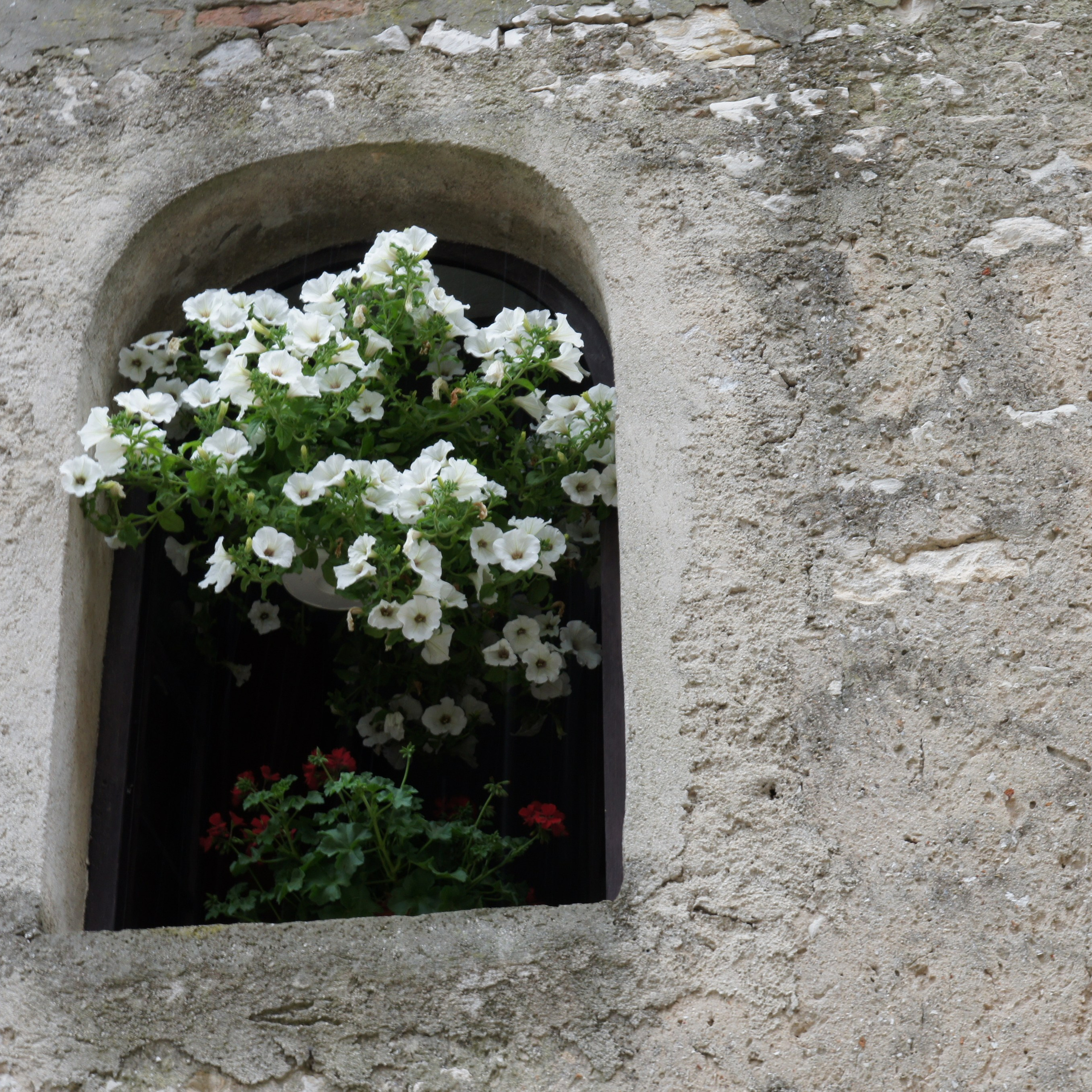 Хорватия. Своя Мастерская