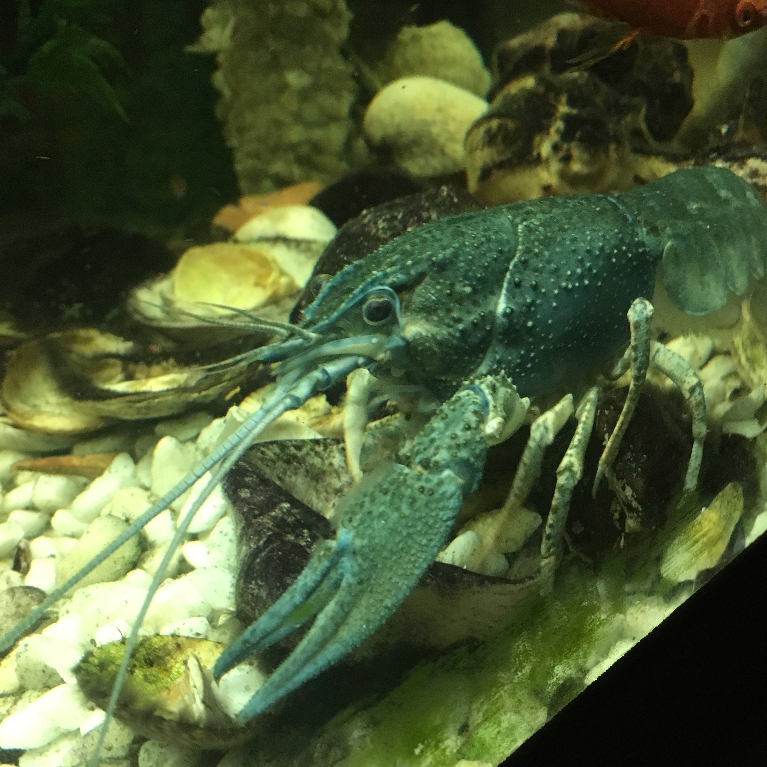 Смоленск. Своя Мастерская