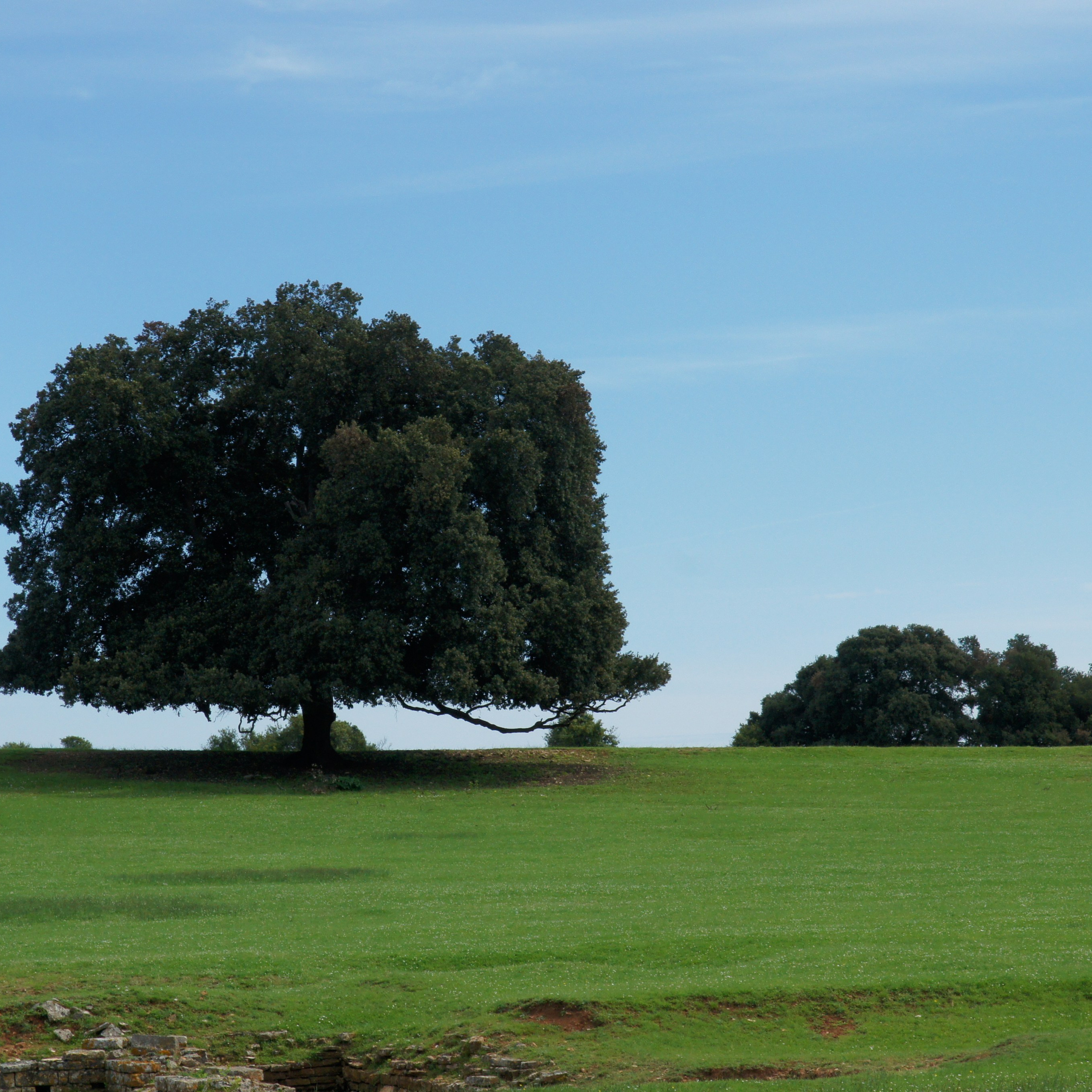 Хорватия. Своя Мастерская