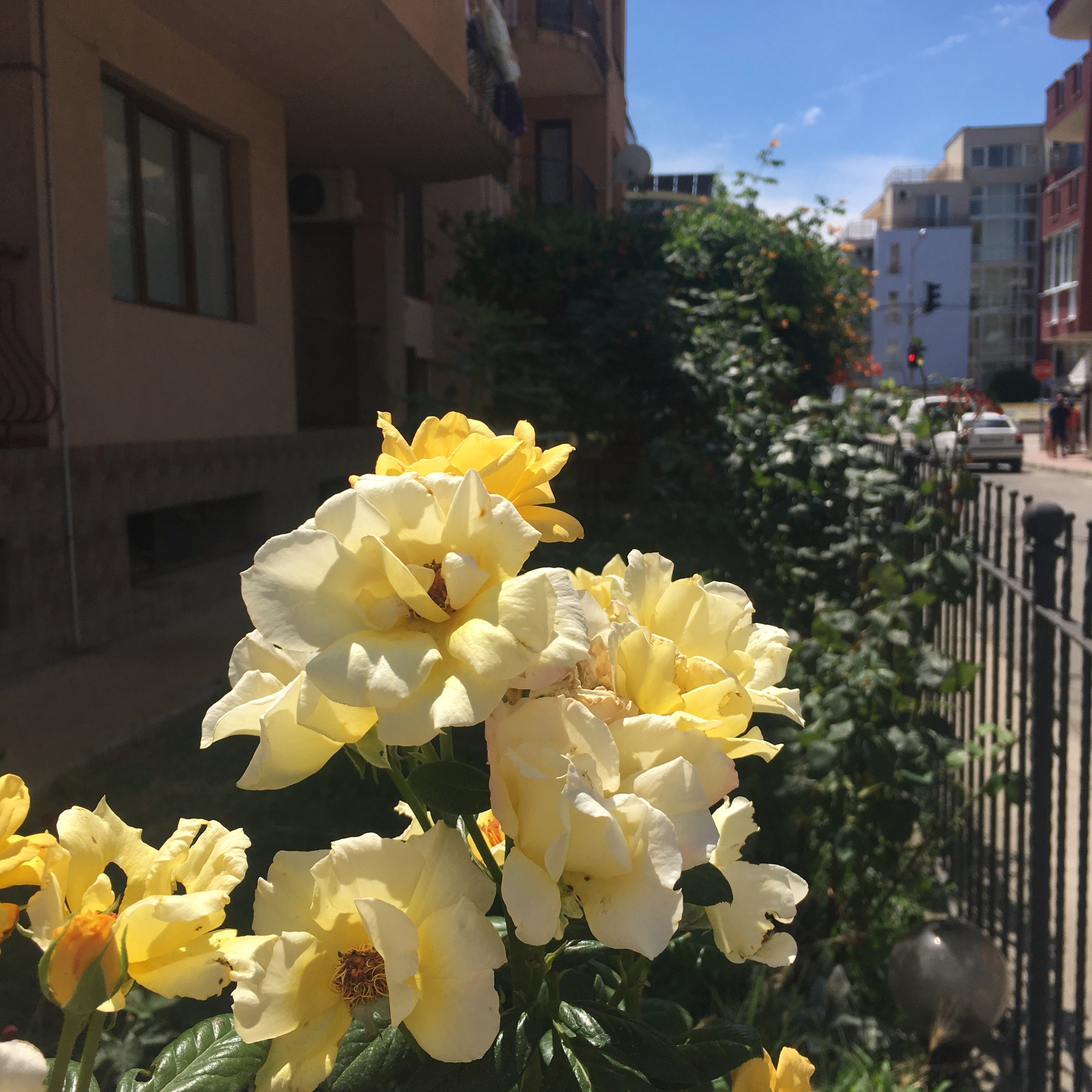 Болгария. Своя Мастерская