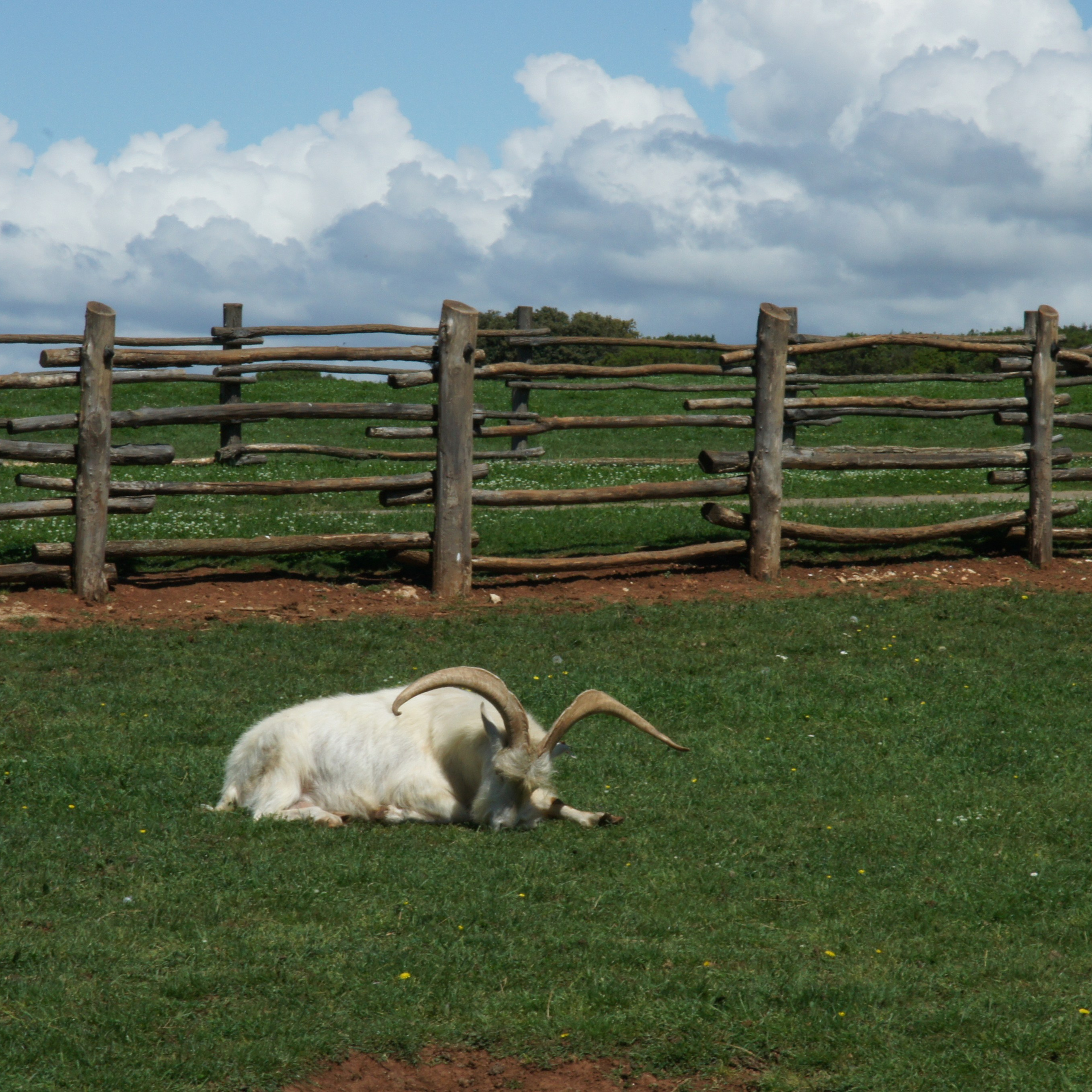 Хорватия. Своя Мастерская