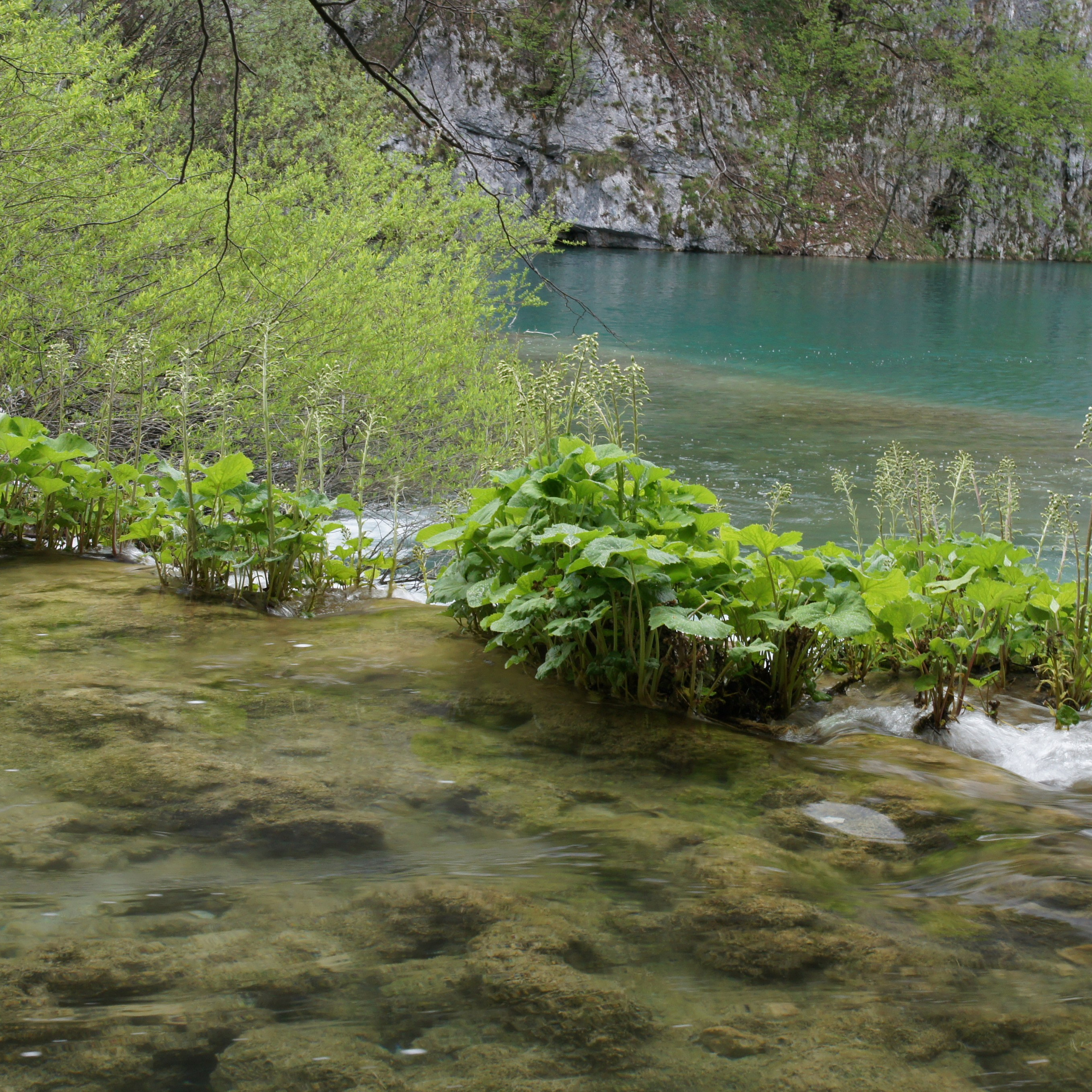 Хорватия. Своя Мастерская