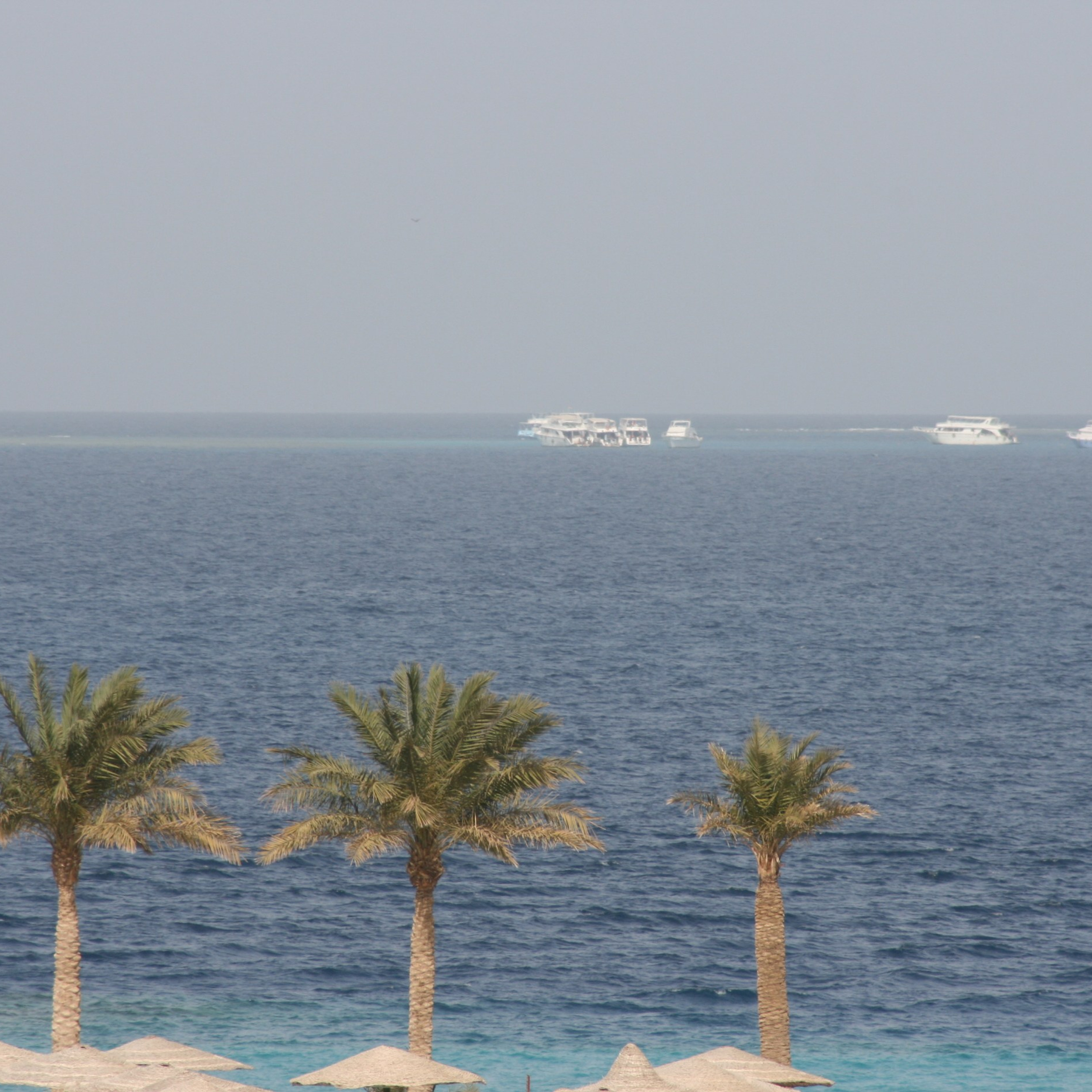 Египет. Своя Мастерская