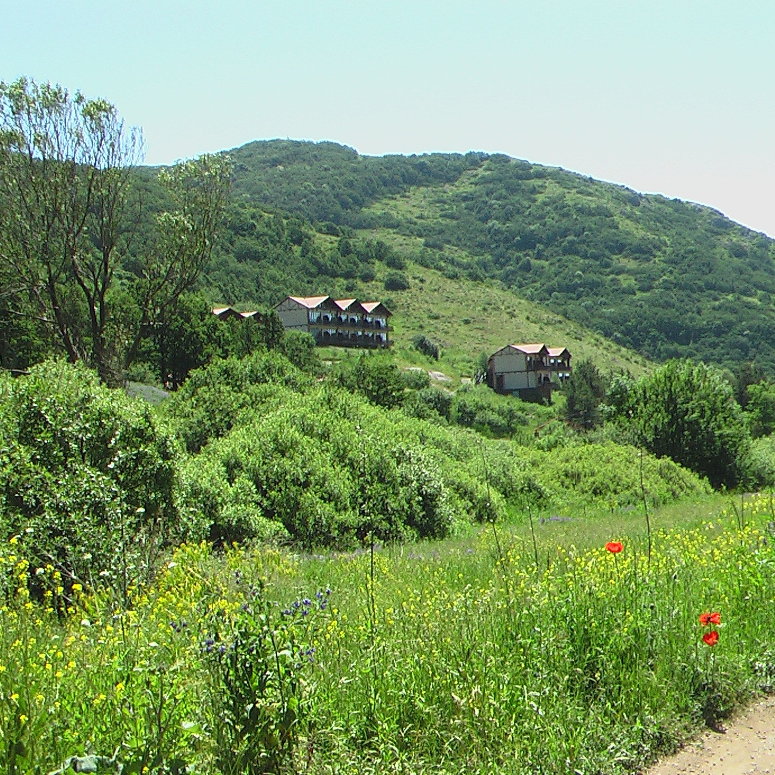 Армения. Своя Мастерская
