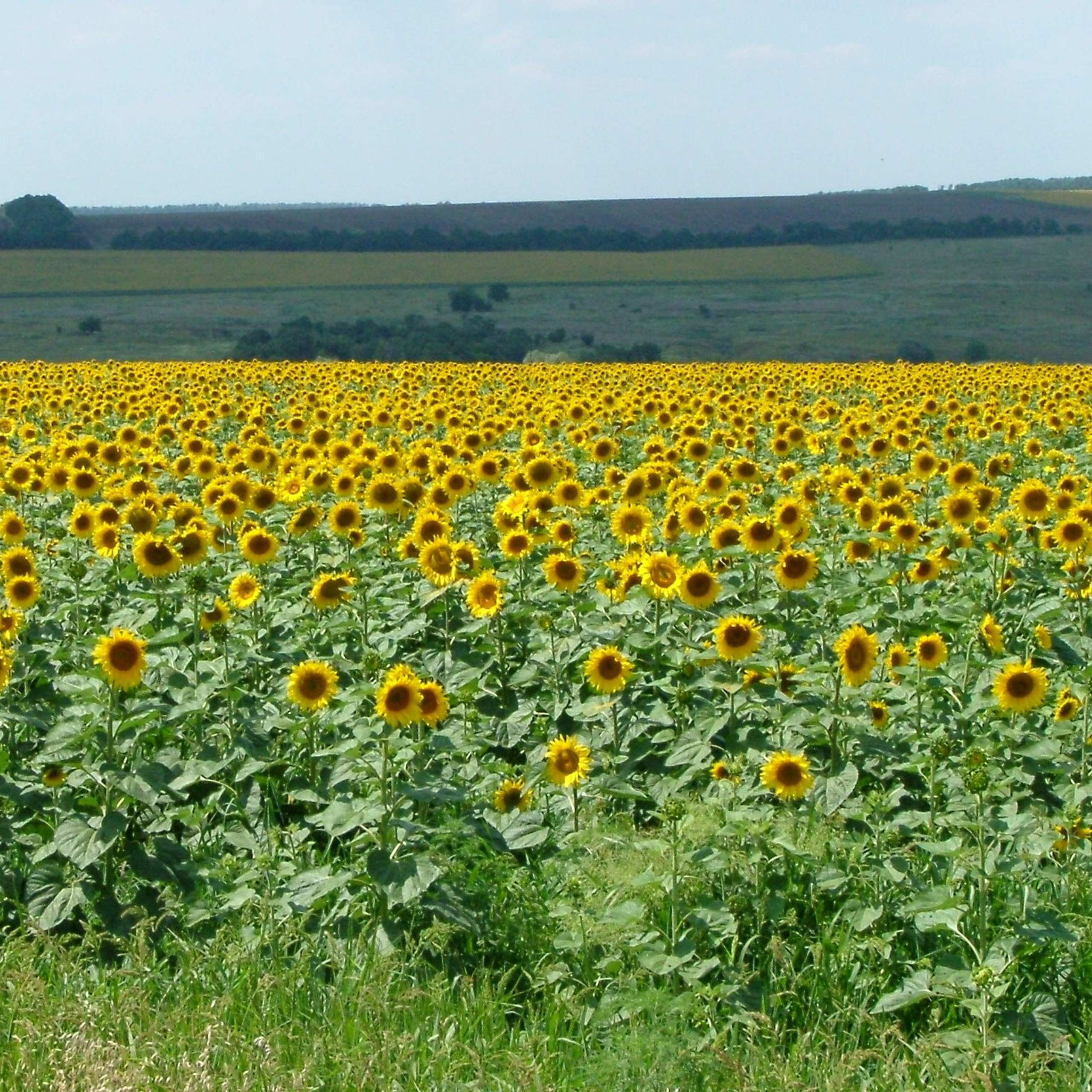 Путешествия. Своя Мастерская