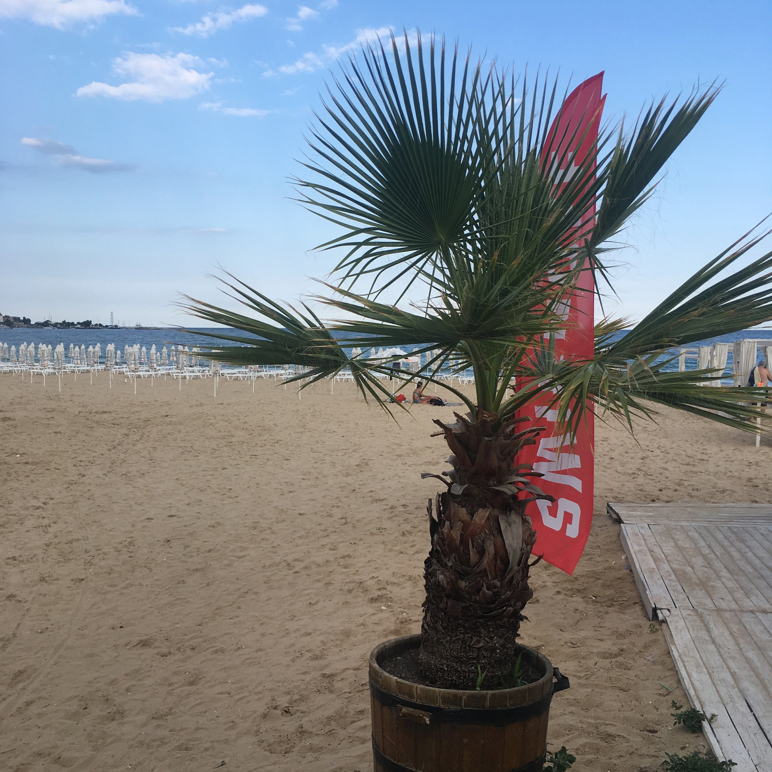 Болгария. Своя Мастерская