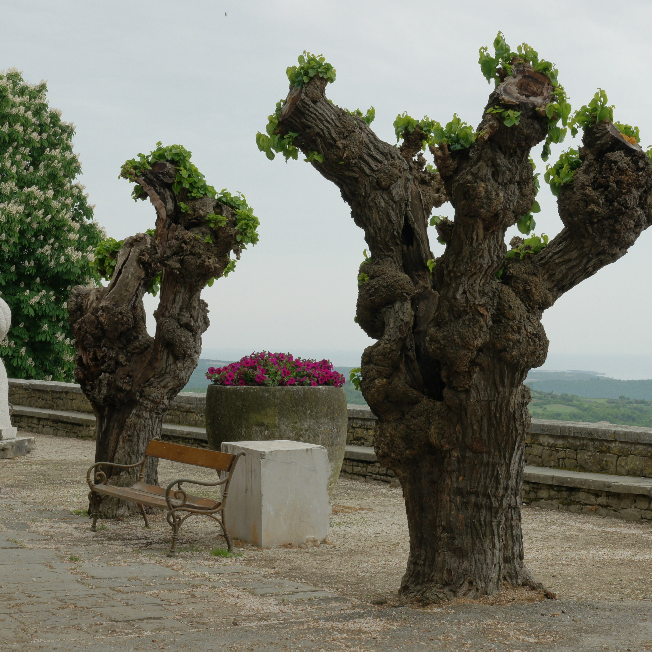 Хорватия. Своя Мастерская