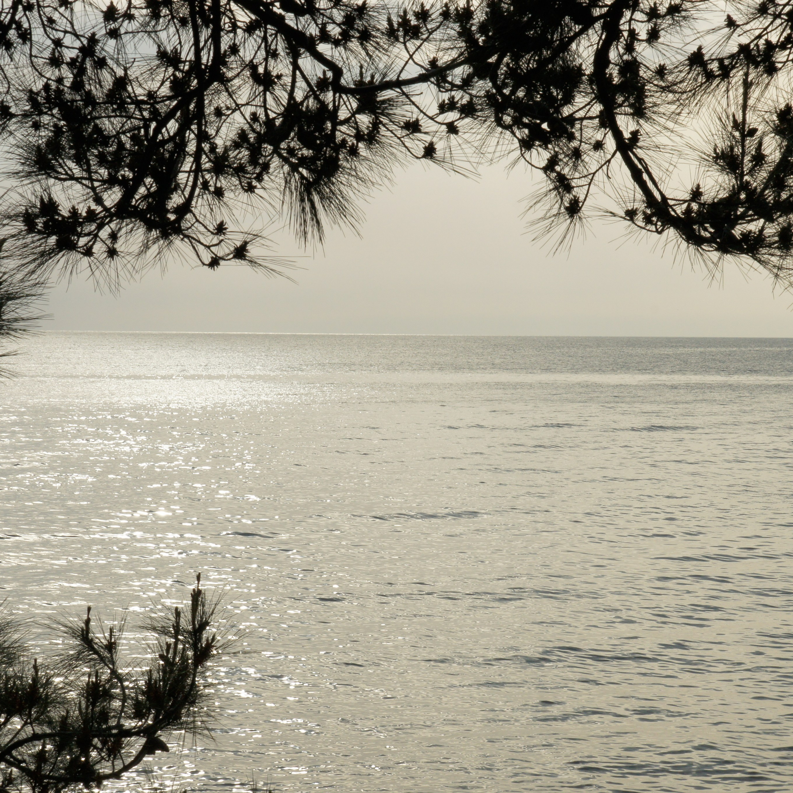 Хорватия. Своя Мастерская