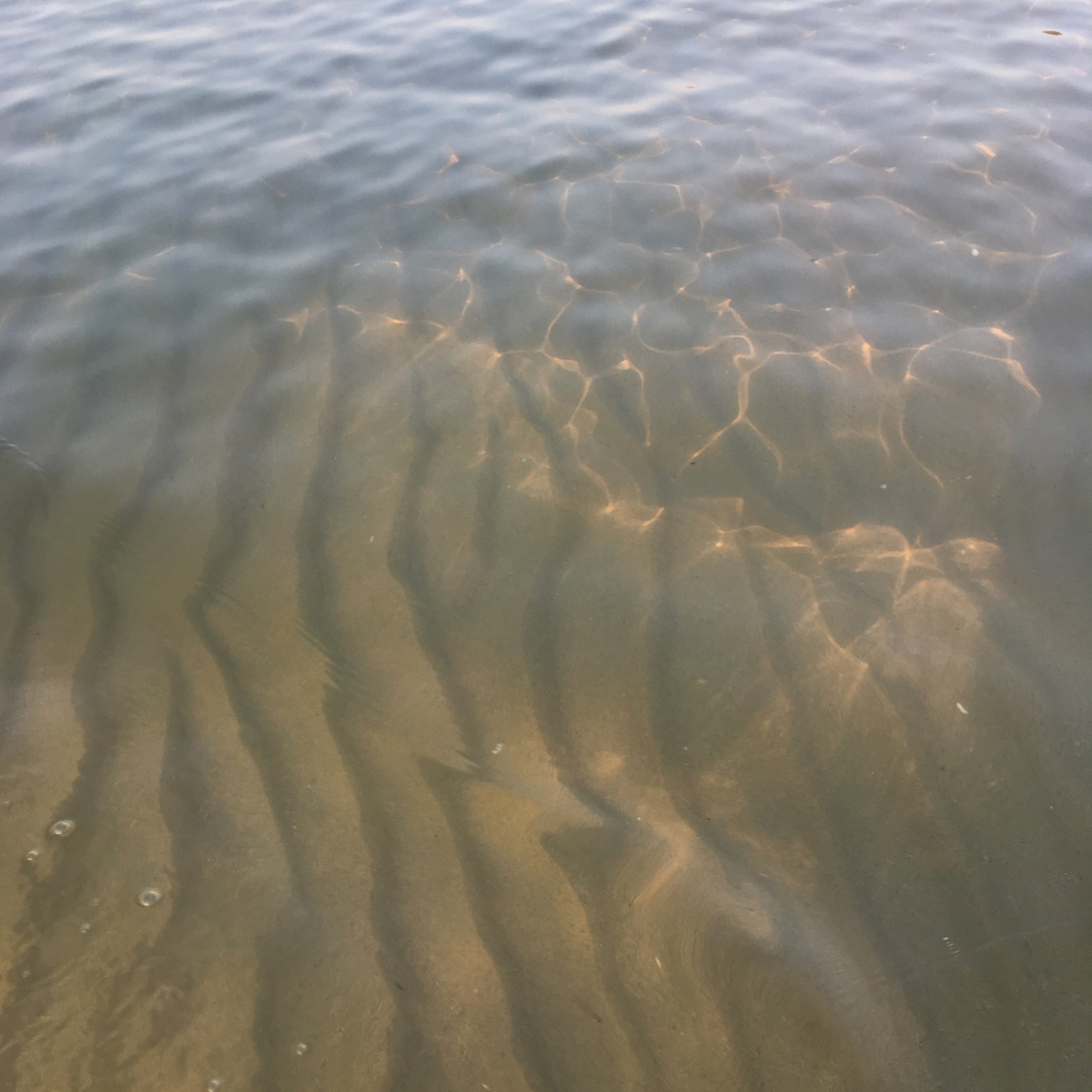 Болгария. Своя Мастерская