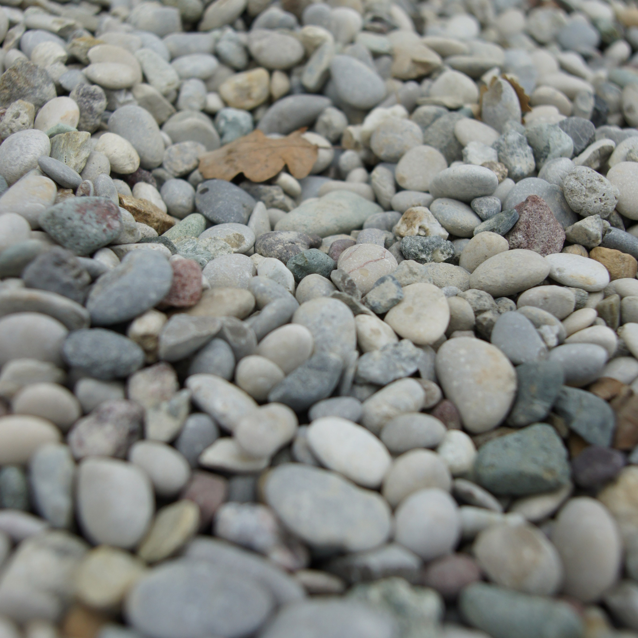 Хорватия. Своя Мастерская