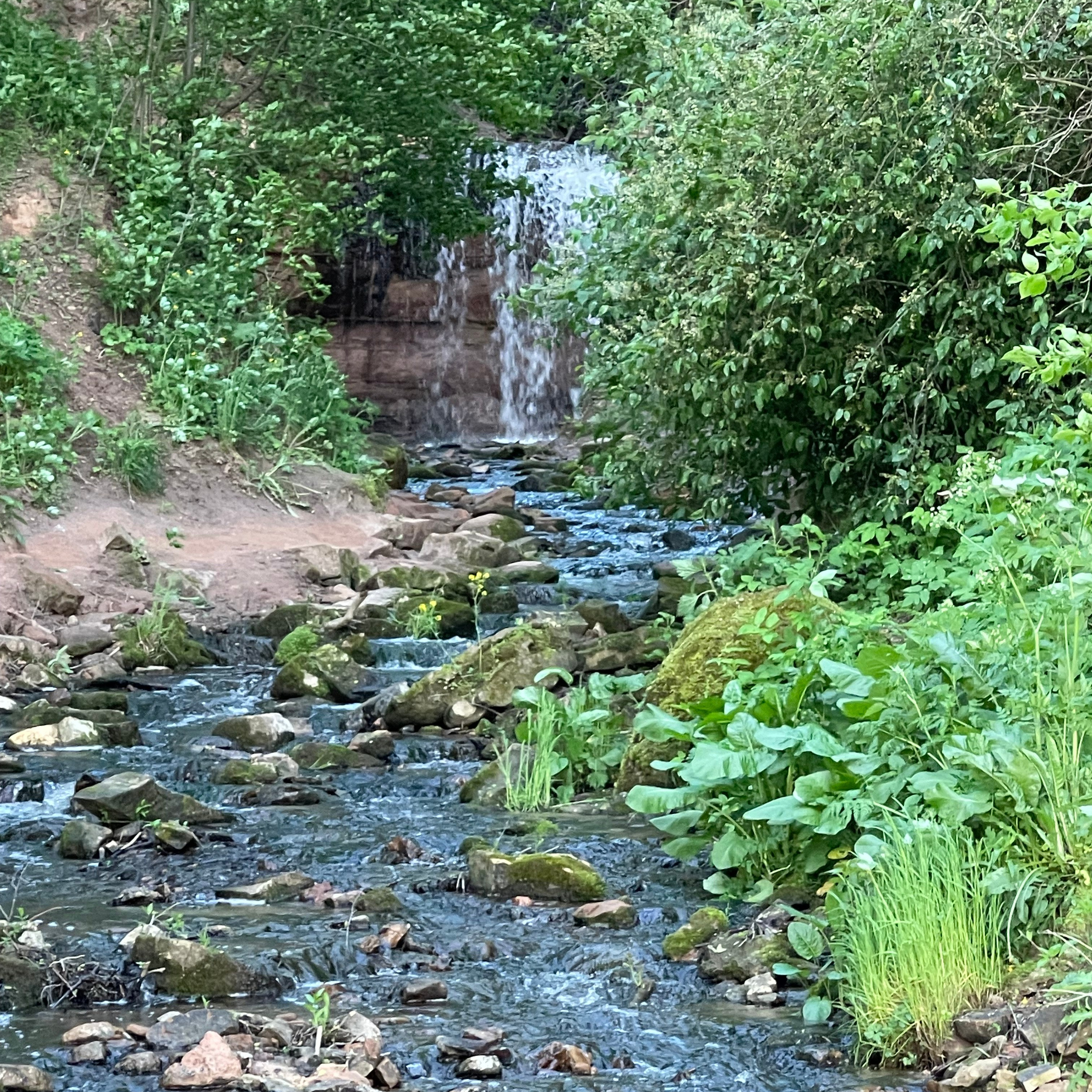 Ладога 2025. Своя Мастерская