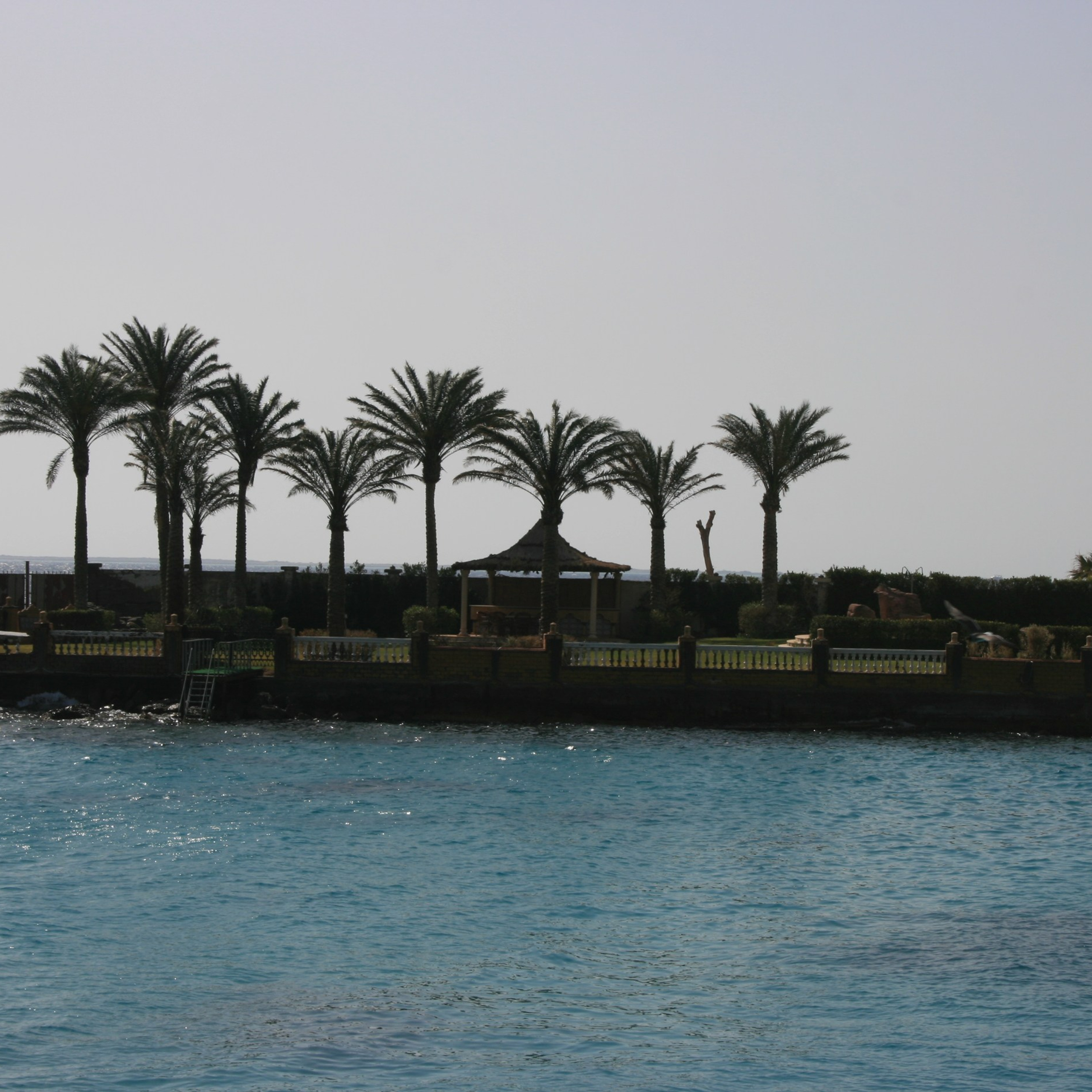 Египет. Своя Мастерская