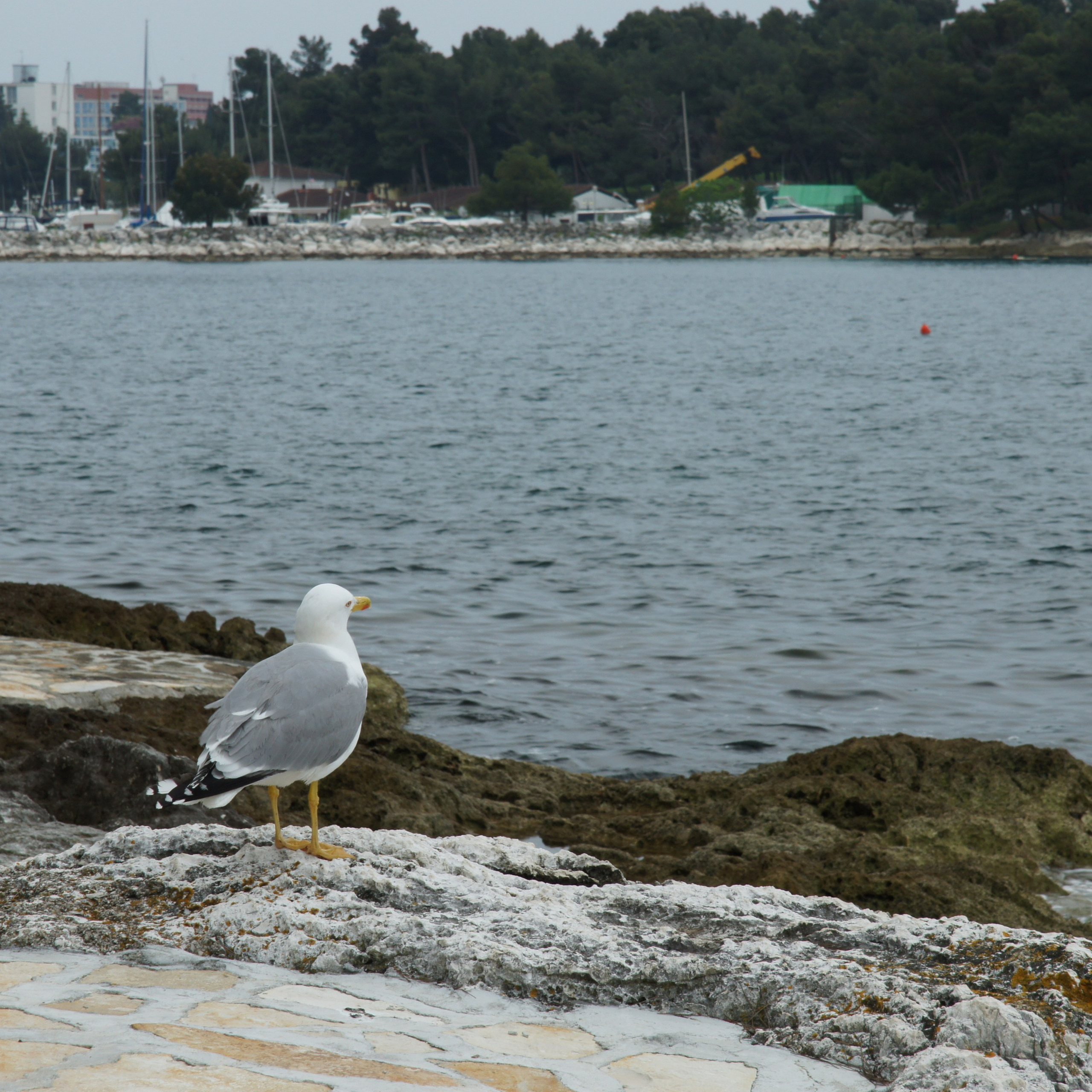 Хорватия. Своя Мастерская