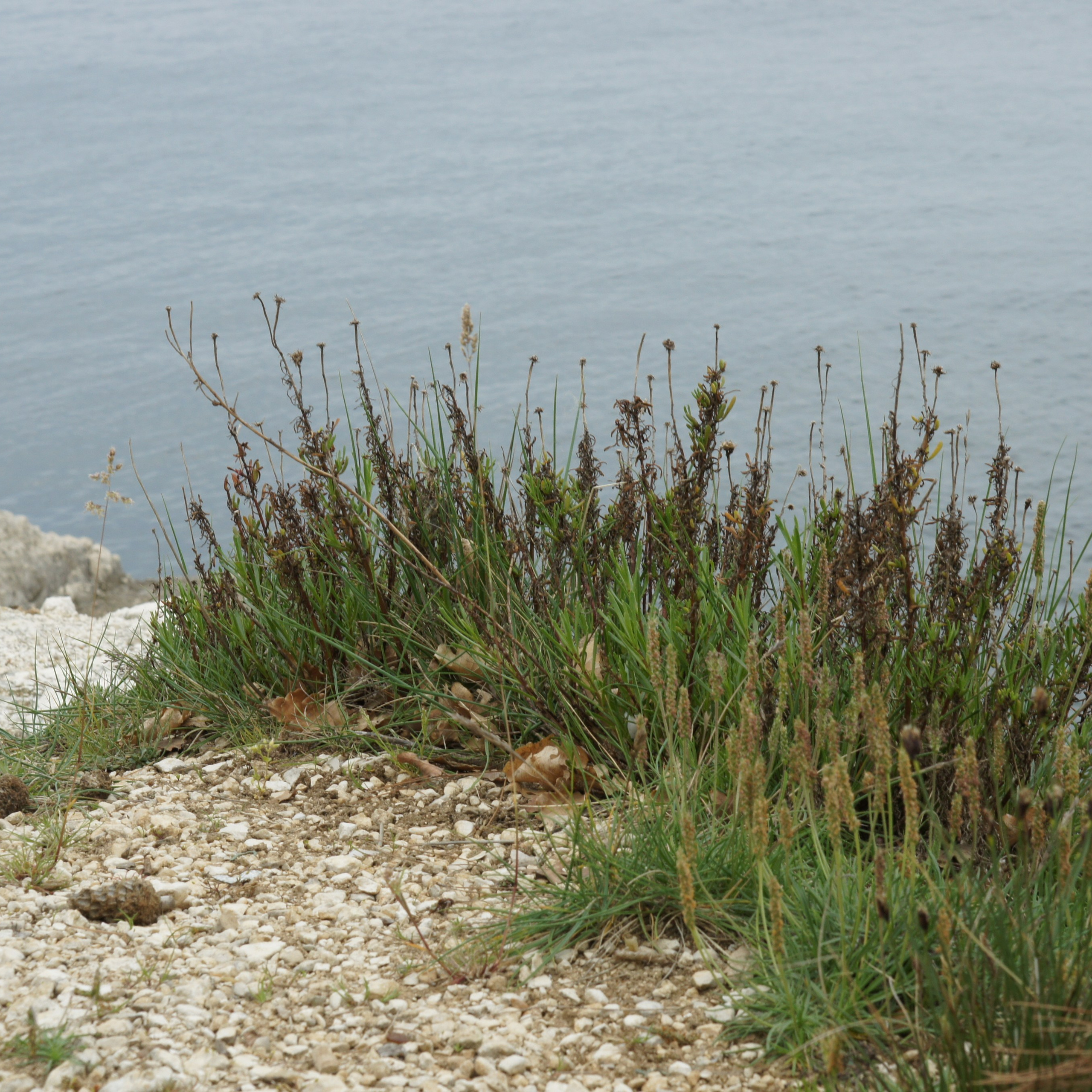 Хорватия. Своя Мастерская