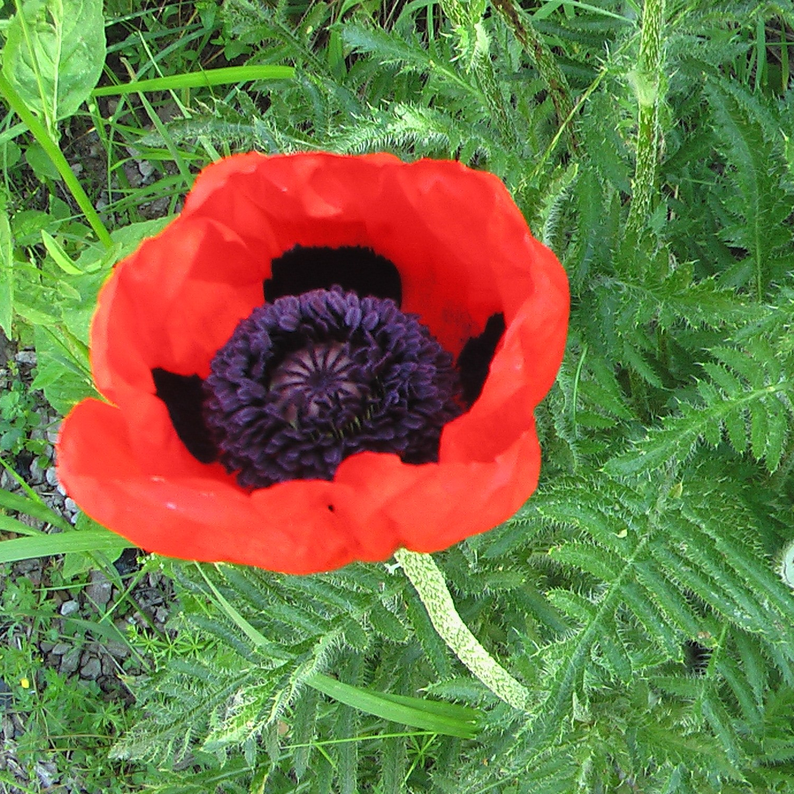 Турция. Своя Мастерская