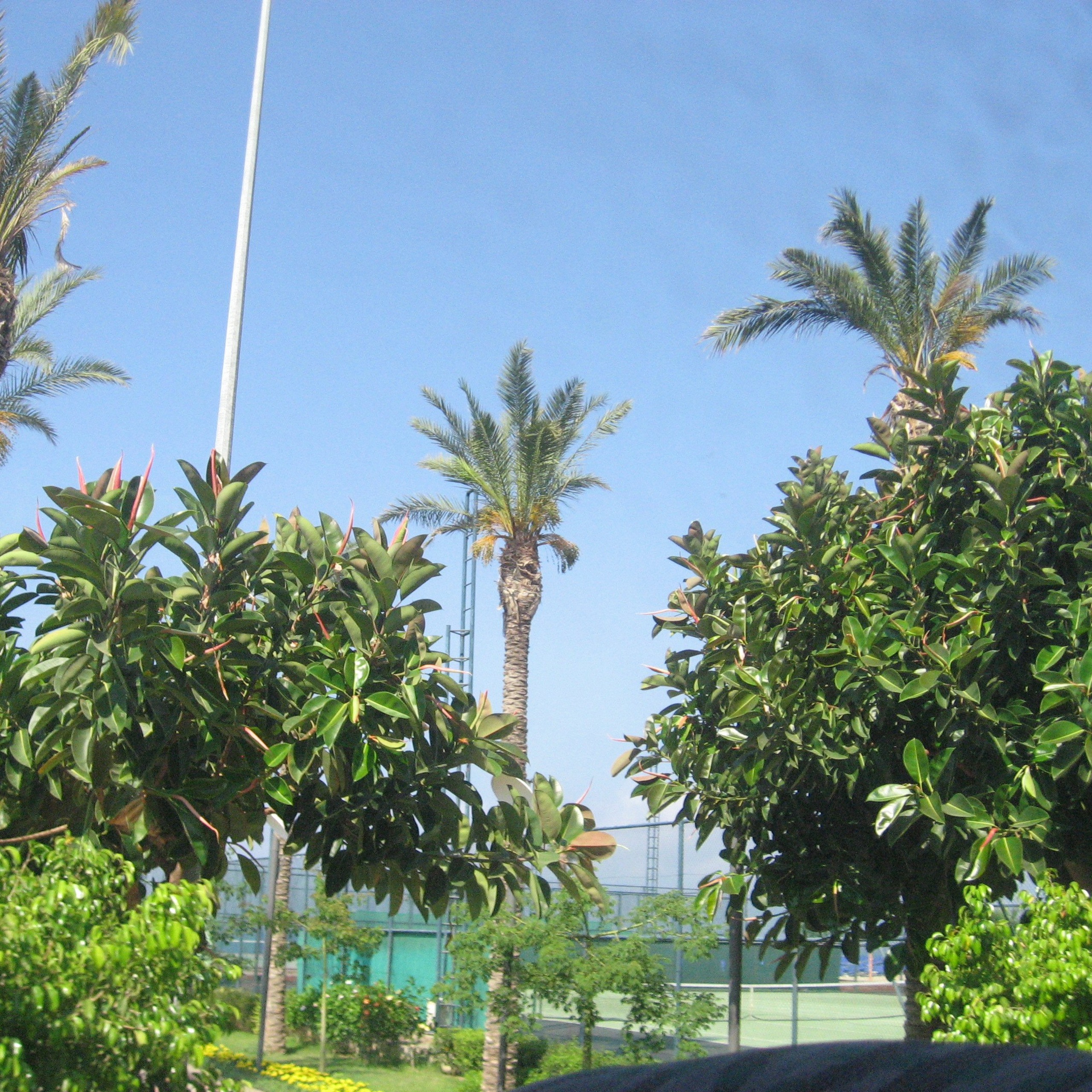 Турция. Своя Мастерская