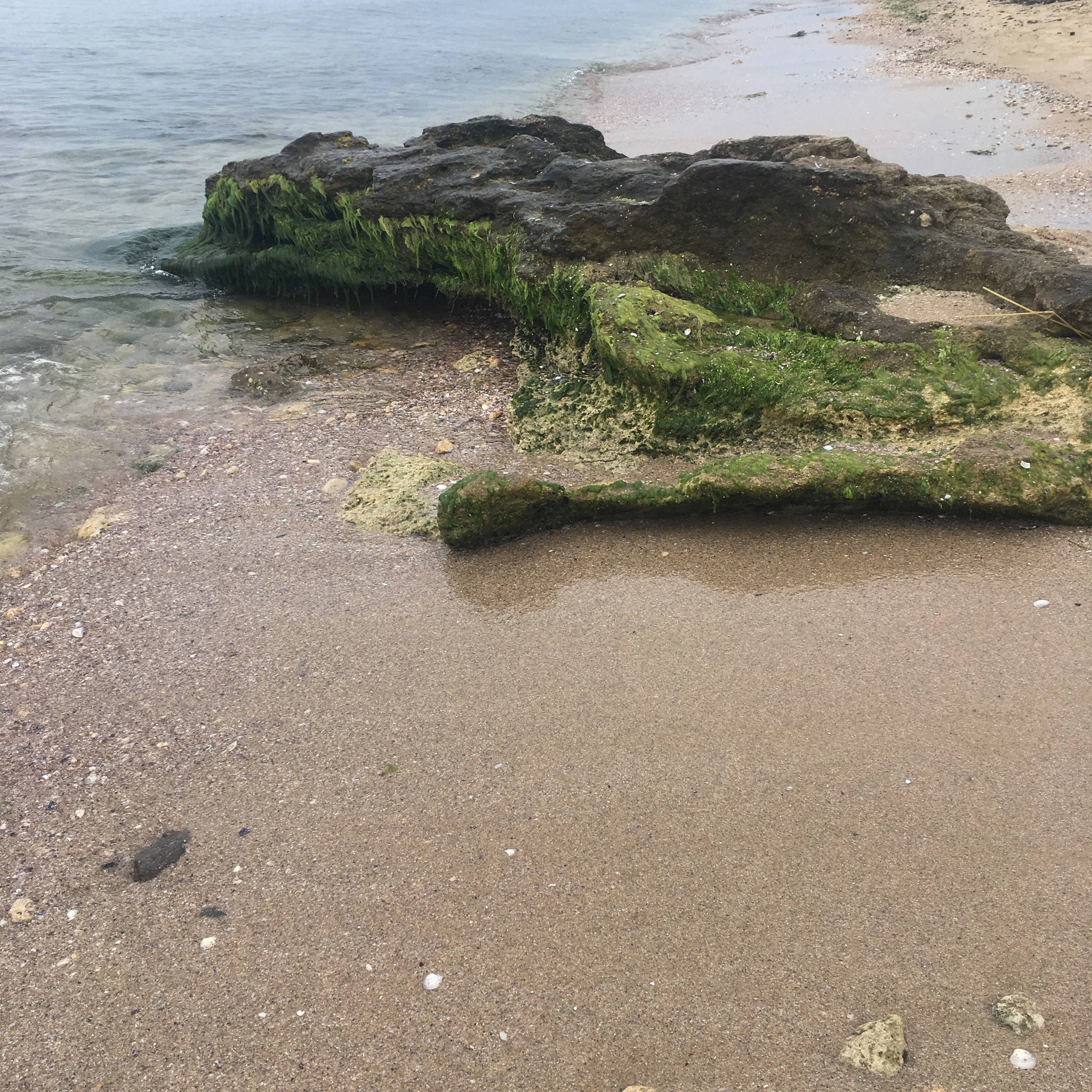 Болгария. Своя Мастерская