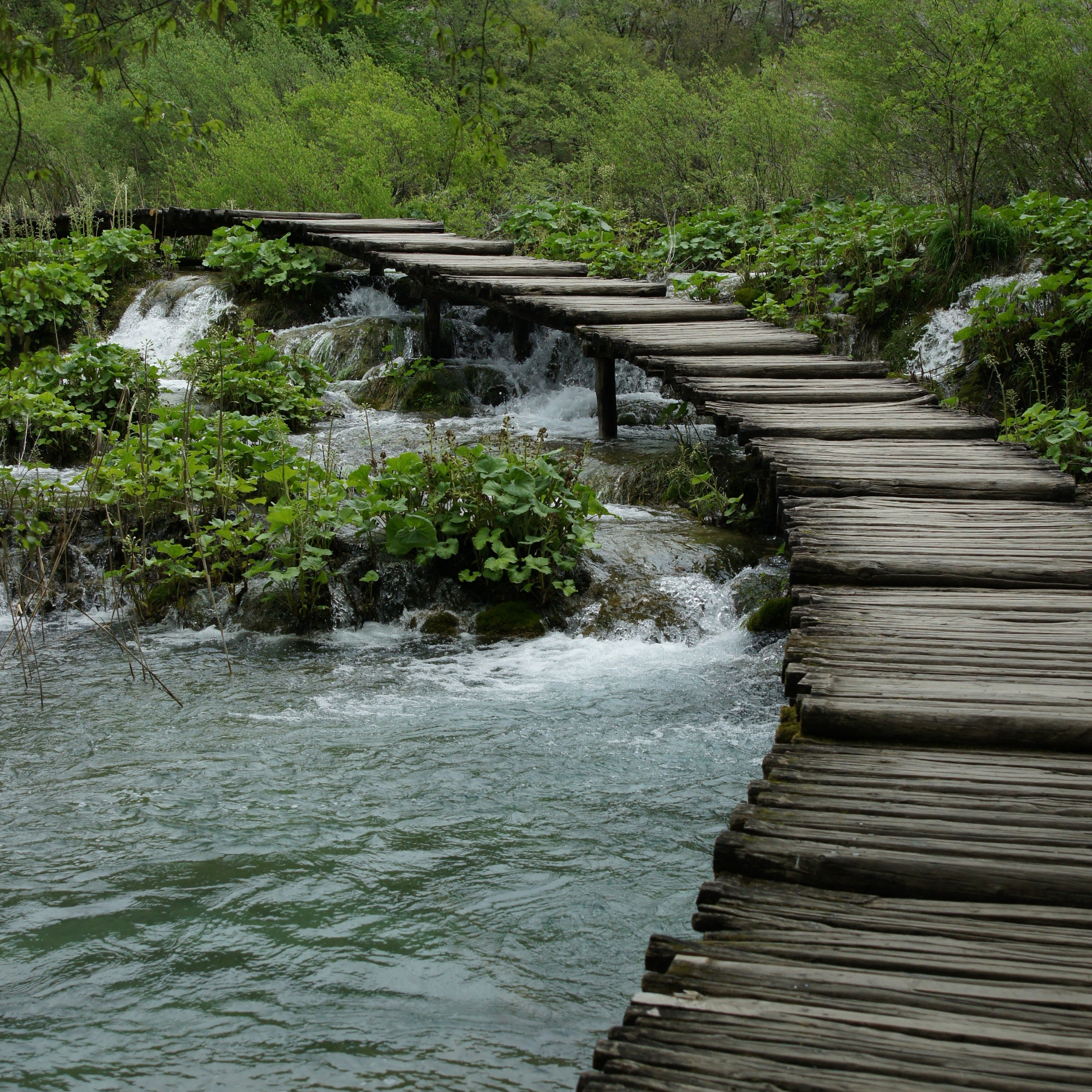 Хорватия. Своя Мастерская