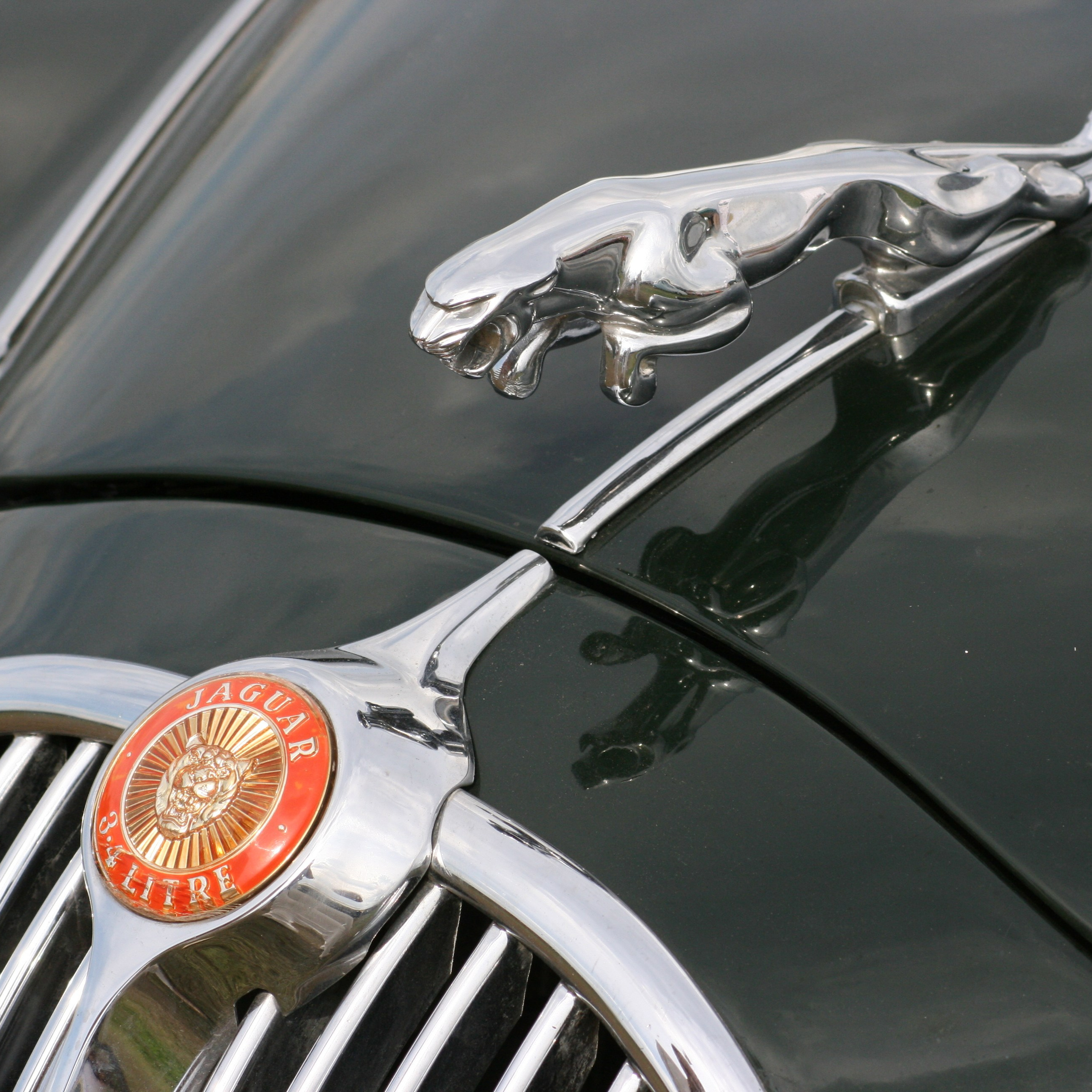 АвтоЭкзотика, Тушино. Своя Мастерская