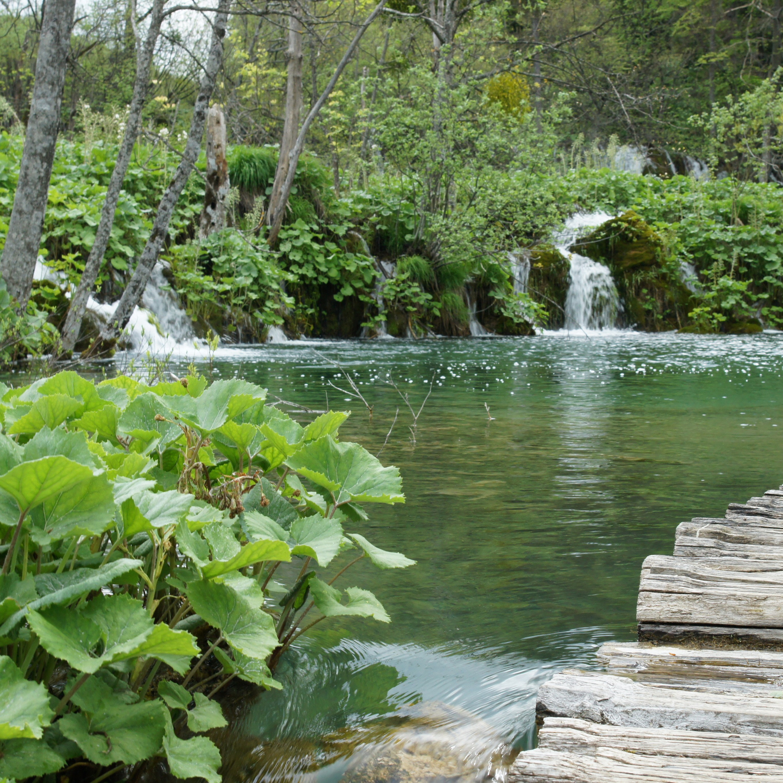 Хорватия. Своя Мастерская