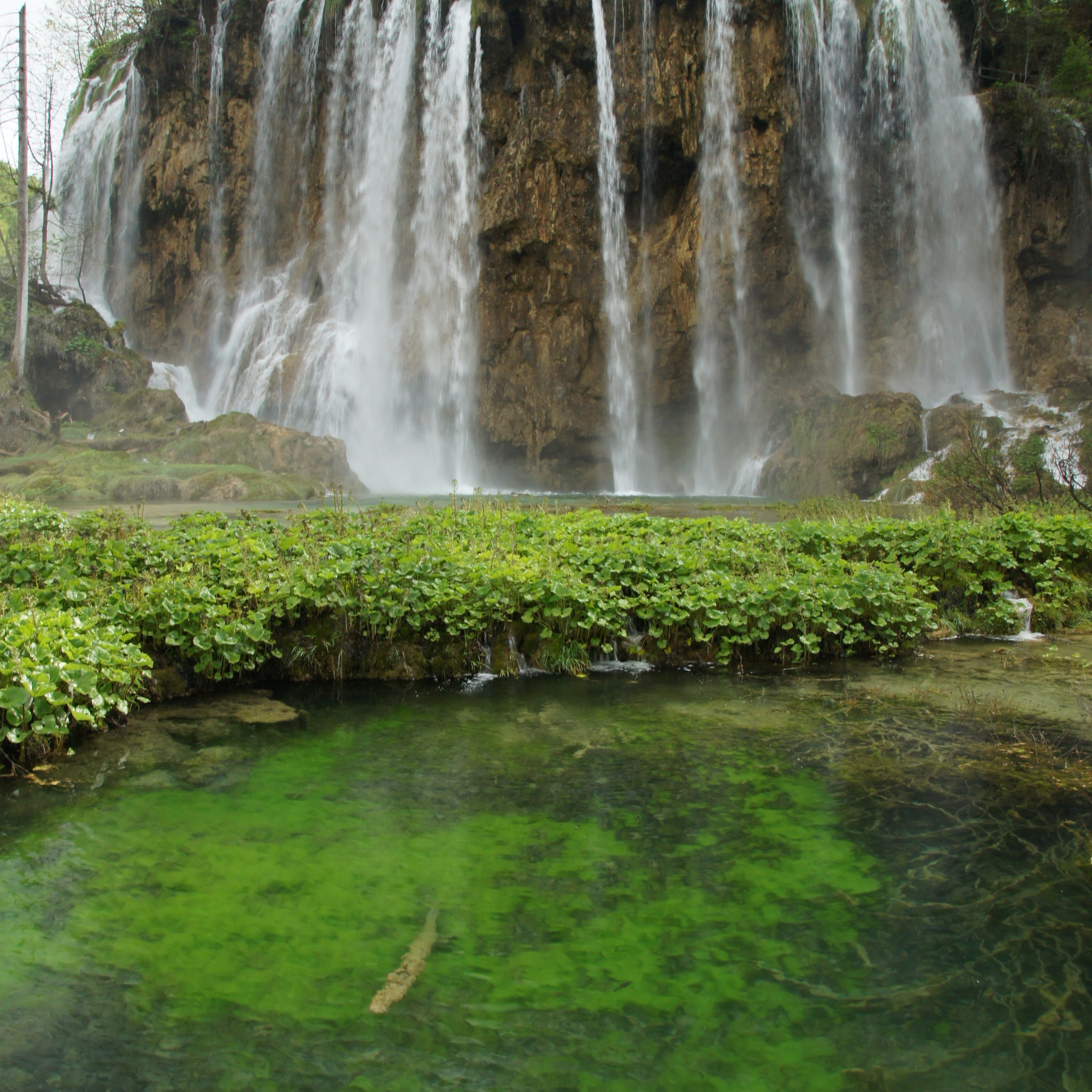 Хорватия. Своя Мастерская