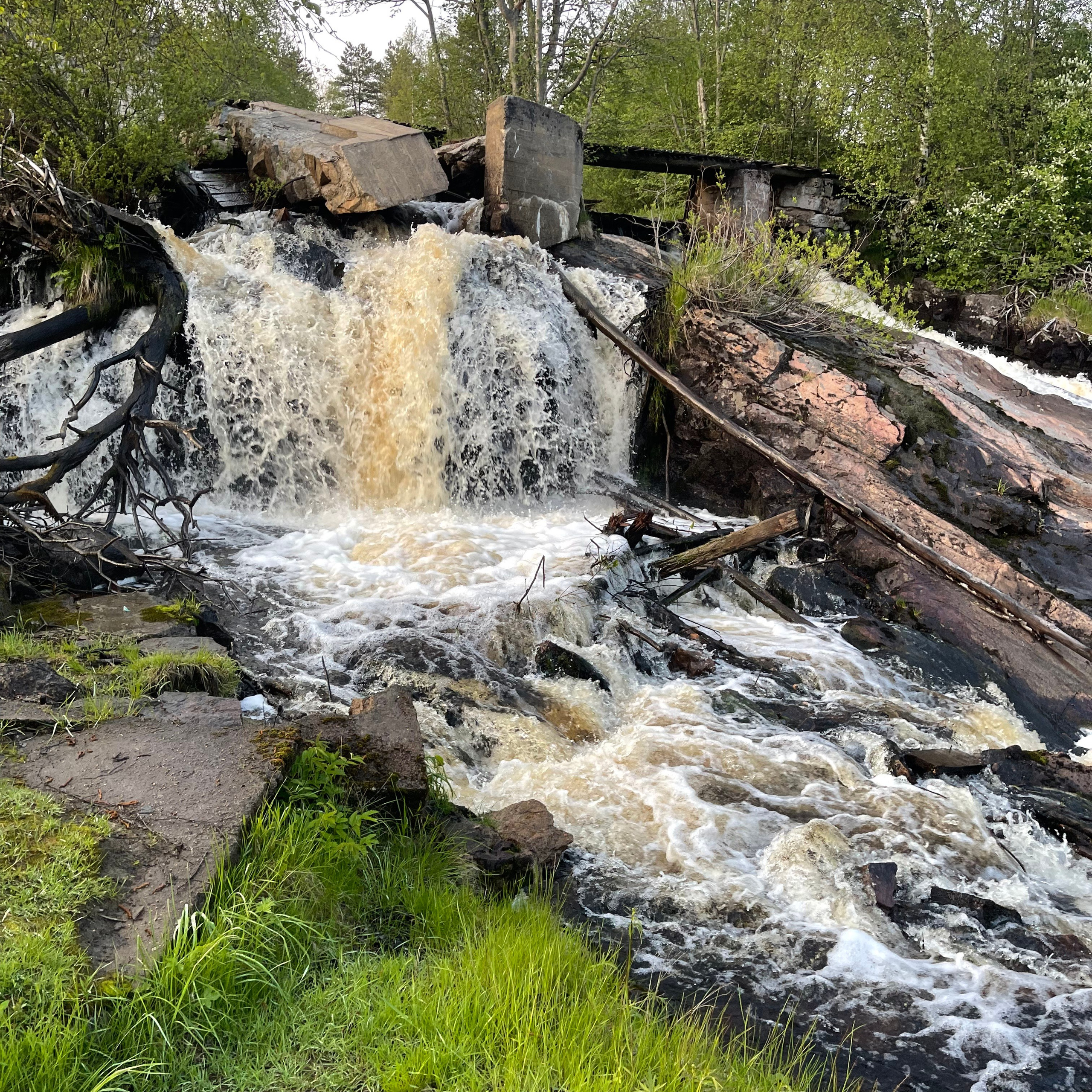 Ладога 2025. Своя Мастерская