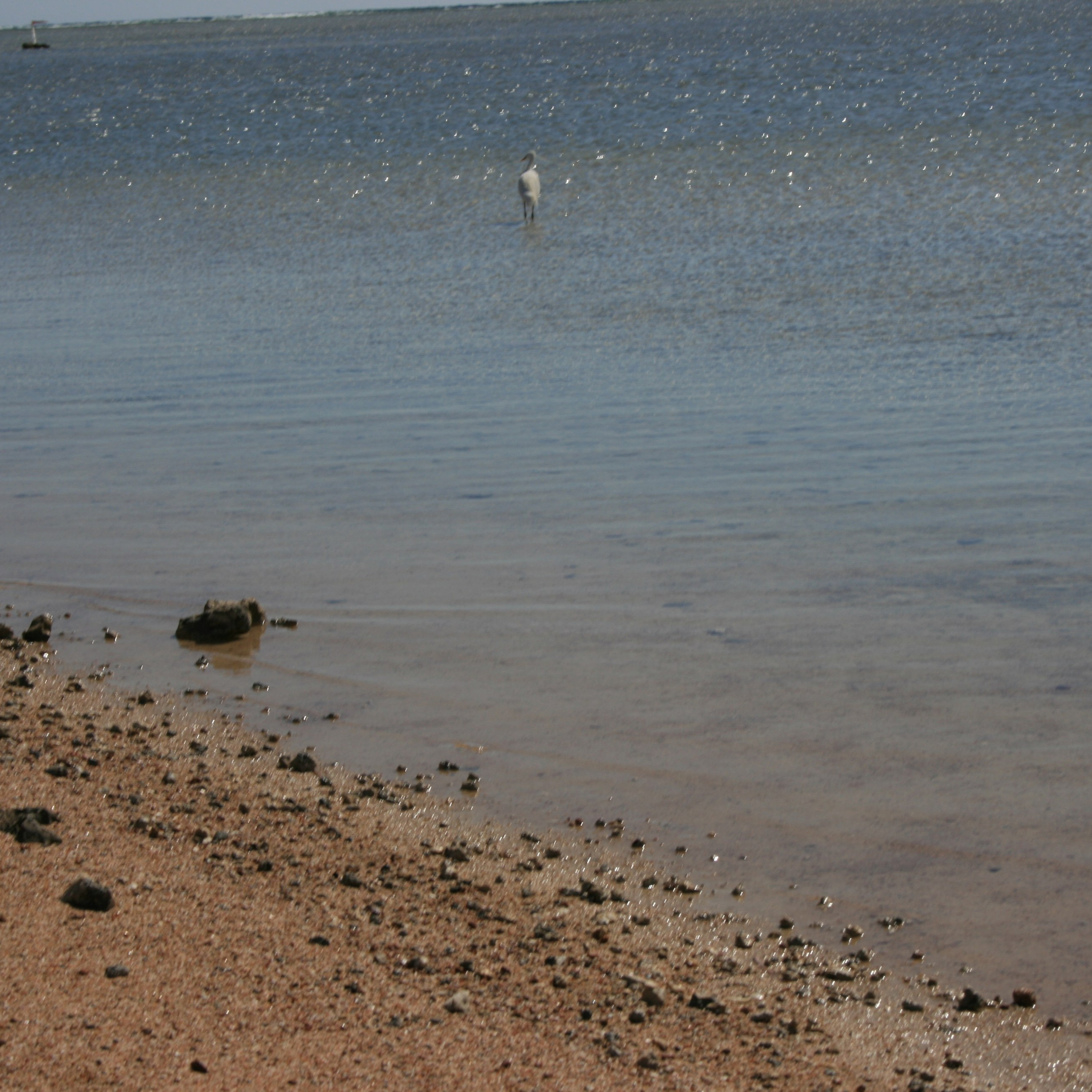 Египет. Своя Мастерская