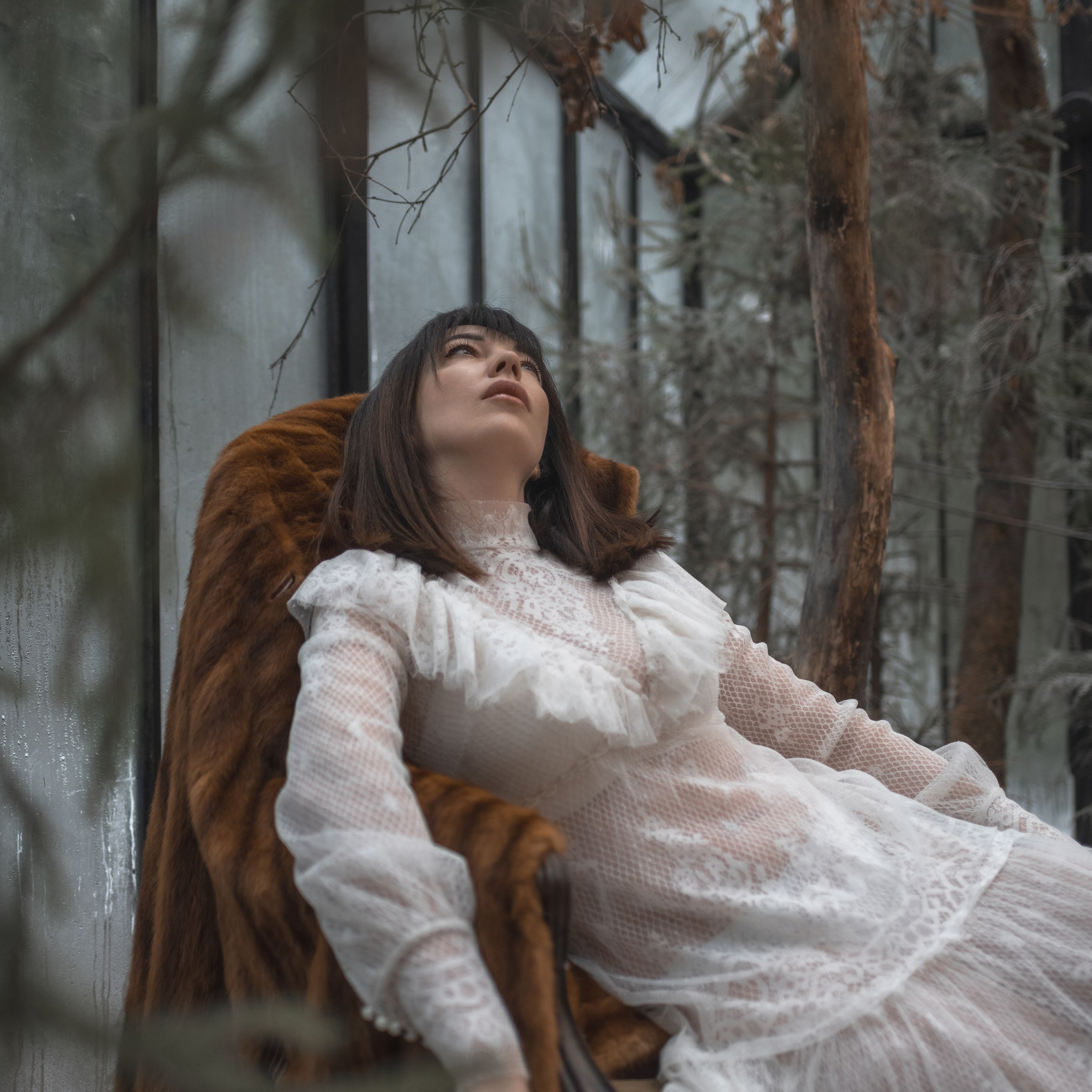 «В&nbsp;замершем лесу»