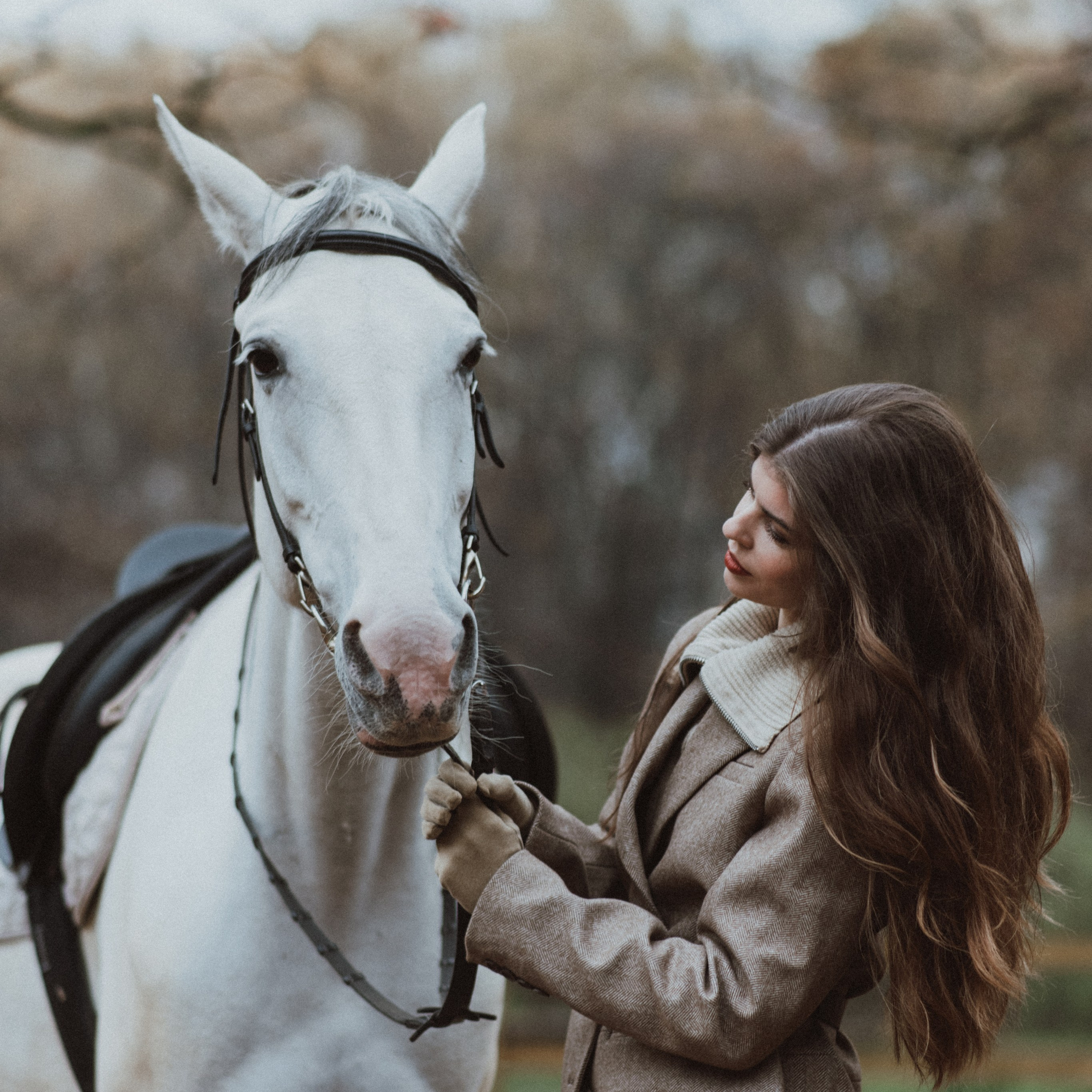 «Осенний ветер и&nbsp;грациозный скакун»