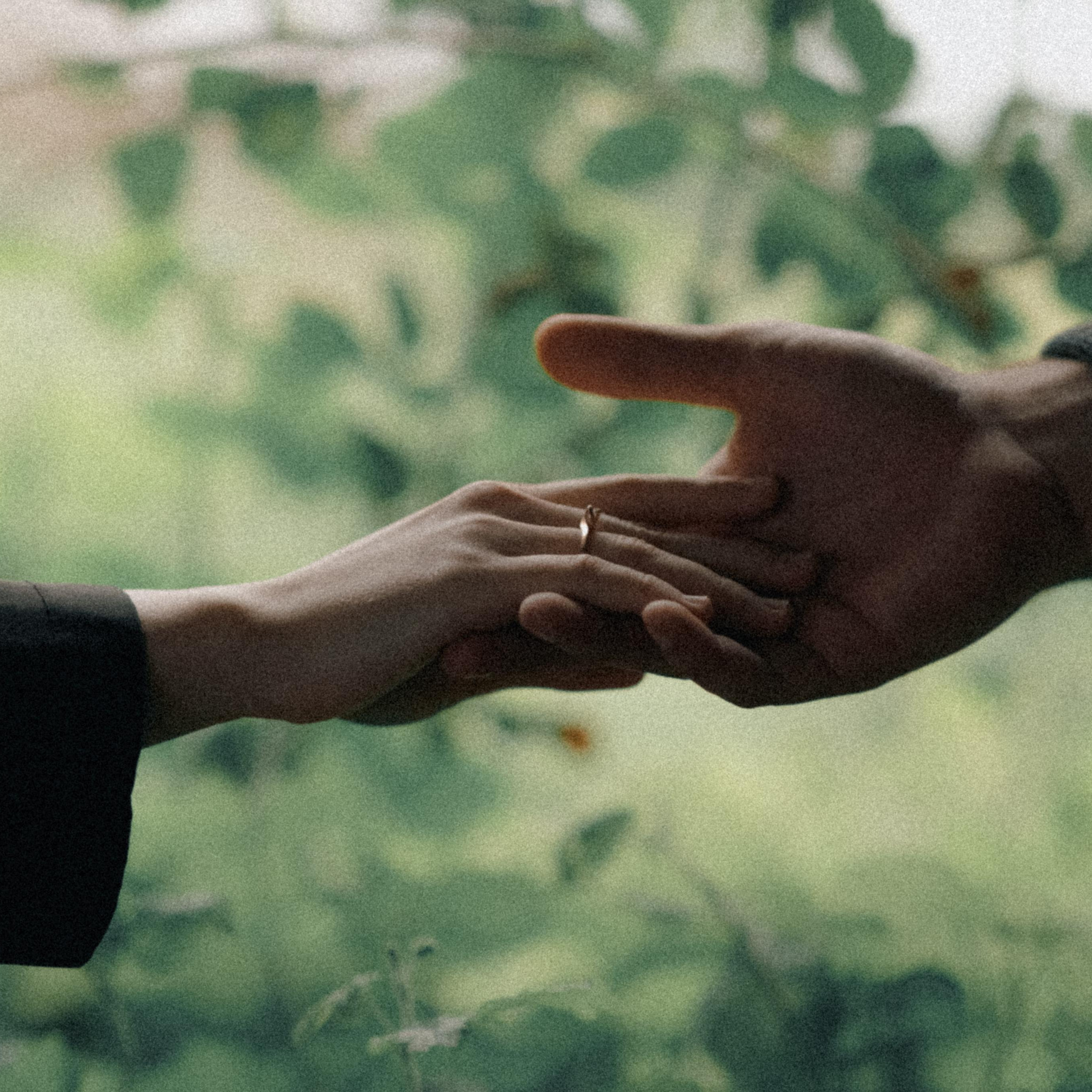 Саид, Лаура, дороги, море, трава, пёс и барашки