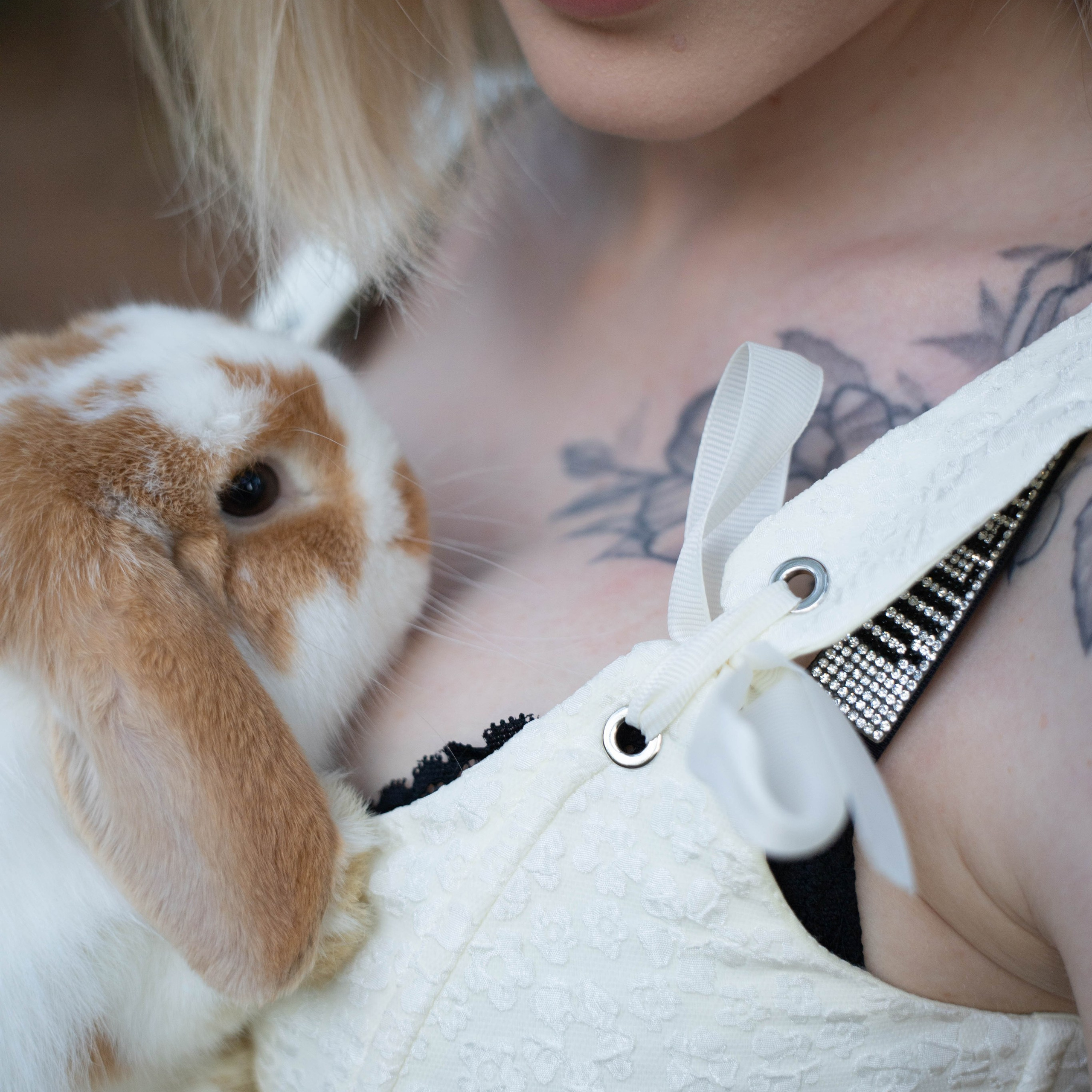 Фотосессия выездная «Кролик»