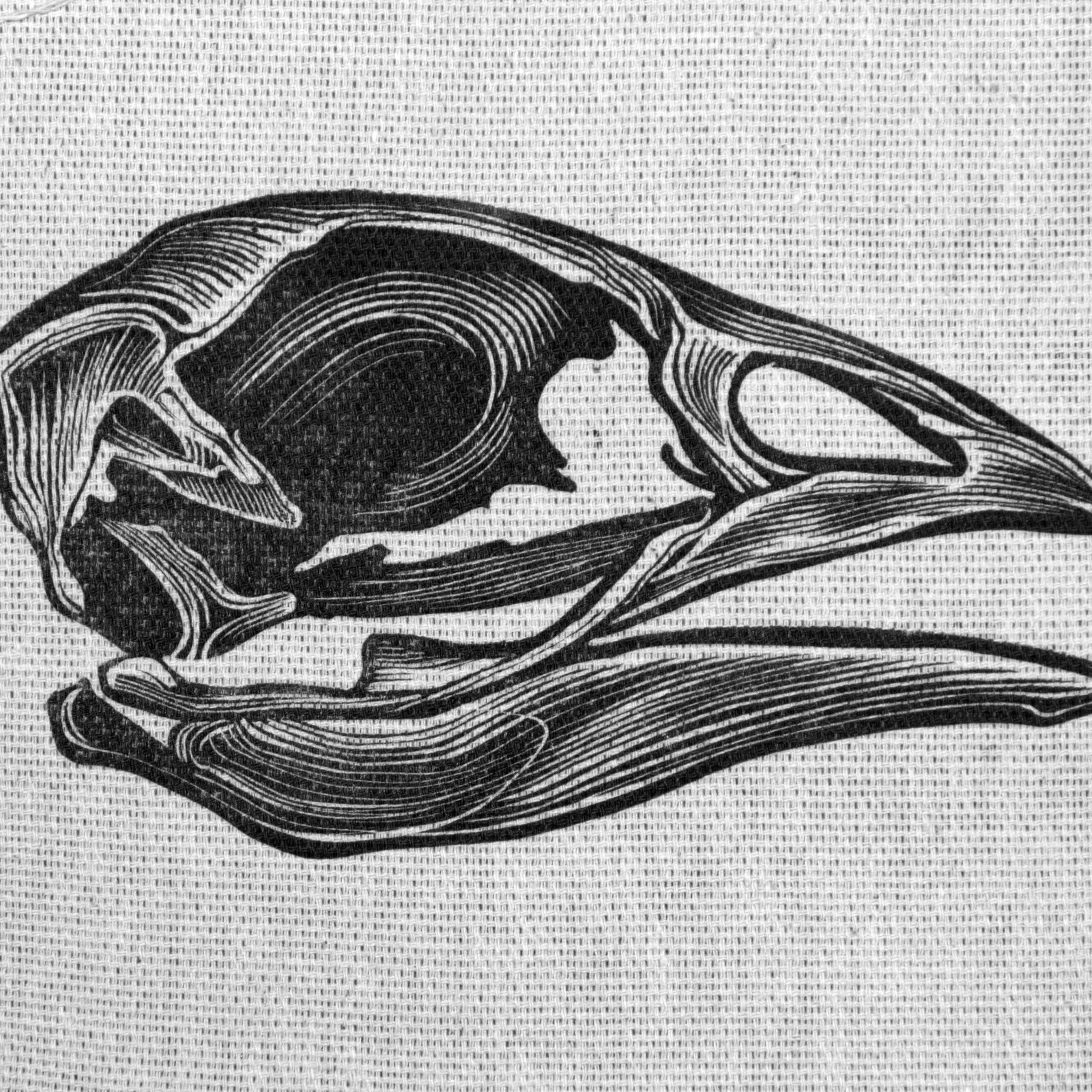 Череп индюка. Серпухова