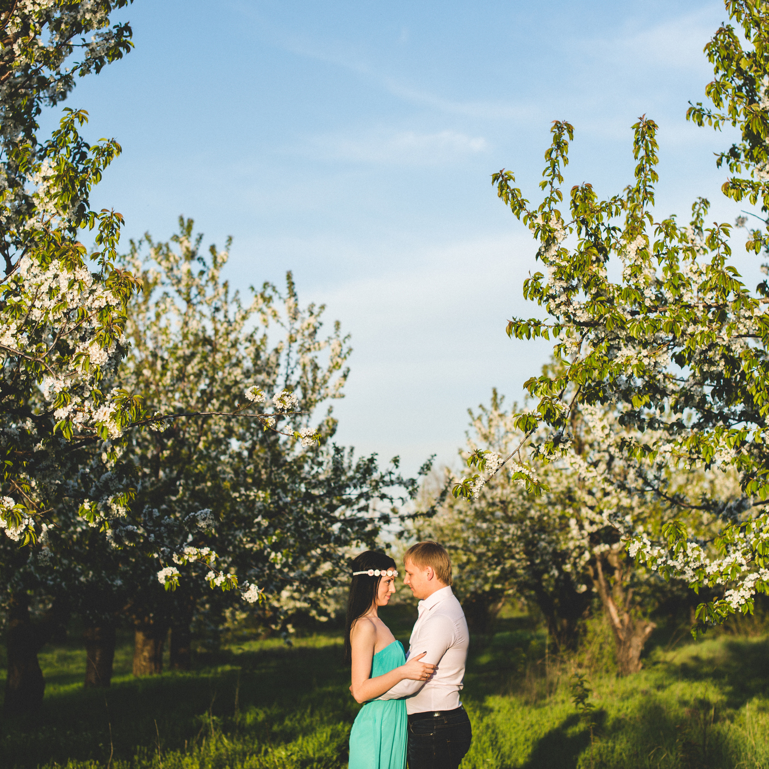 Моя черешня