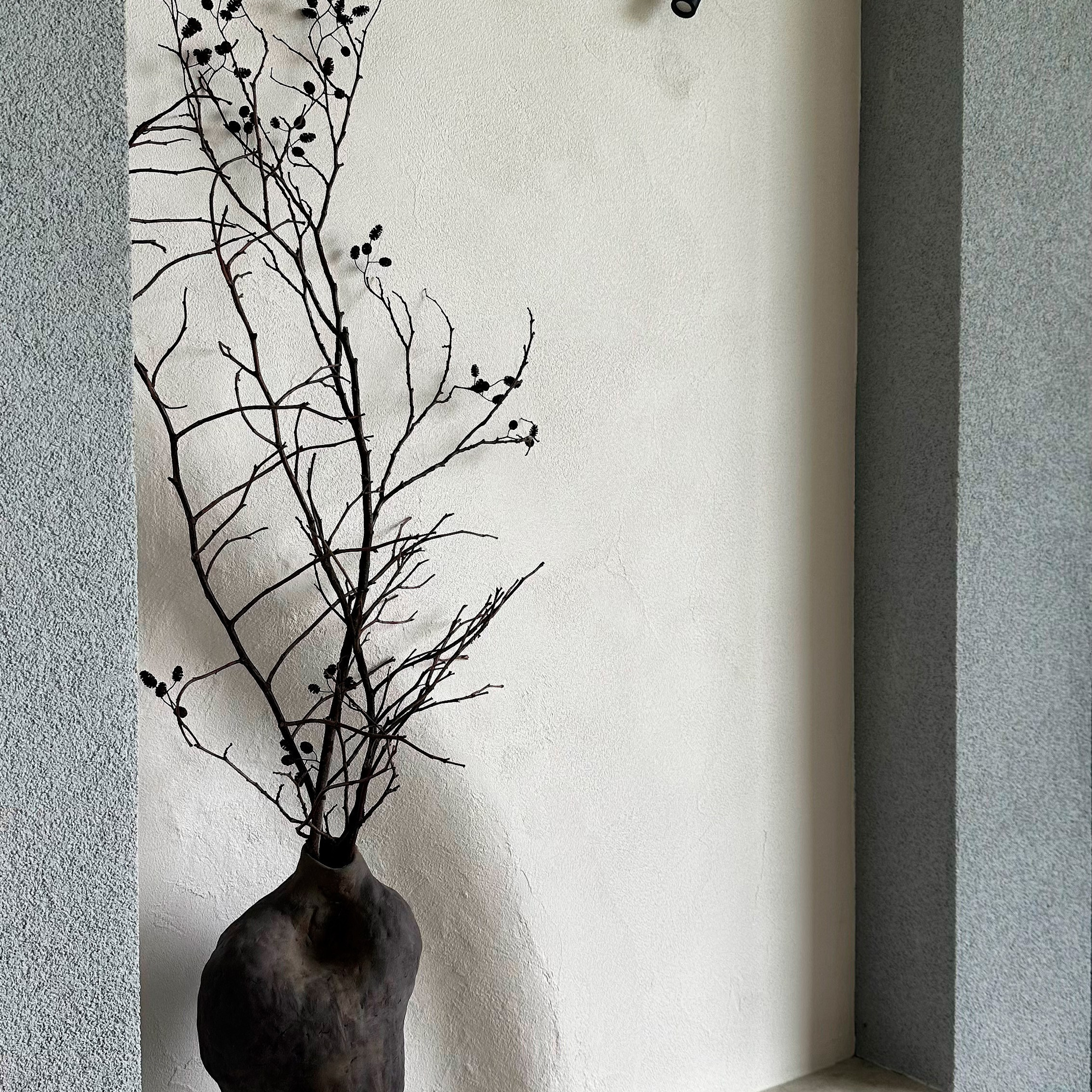 Квартира Ниша