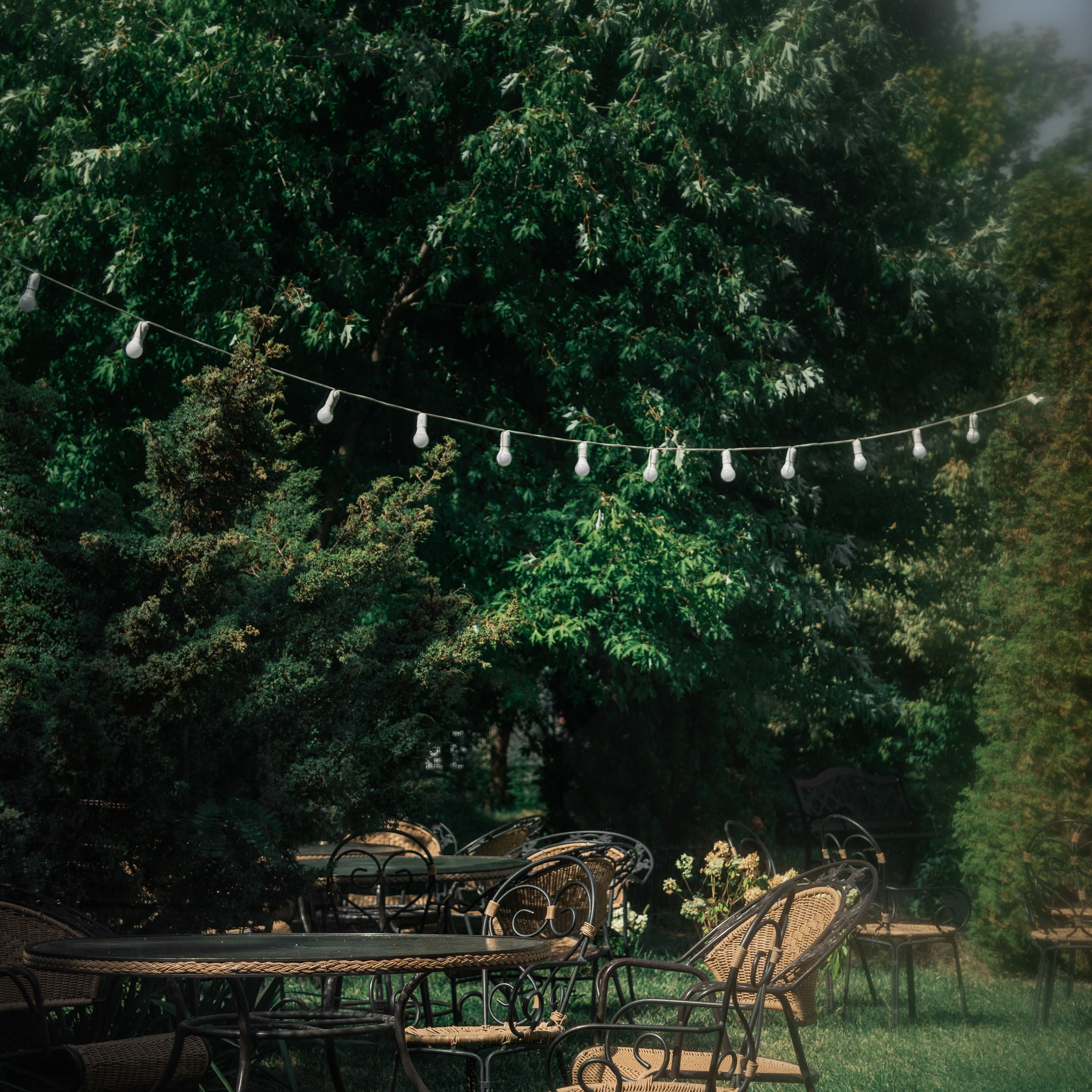 Дмитрий и Екатерина. Профессиональный фотограф в Астрахани Оганян Аревик