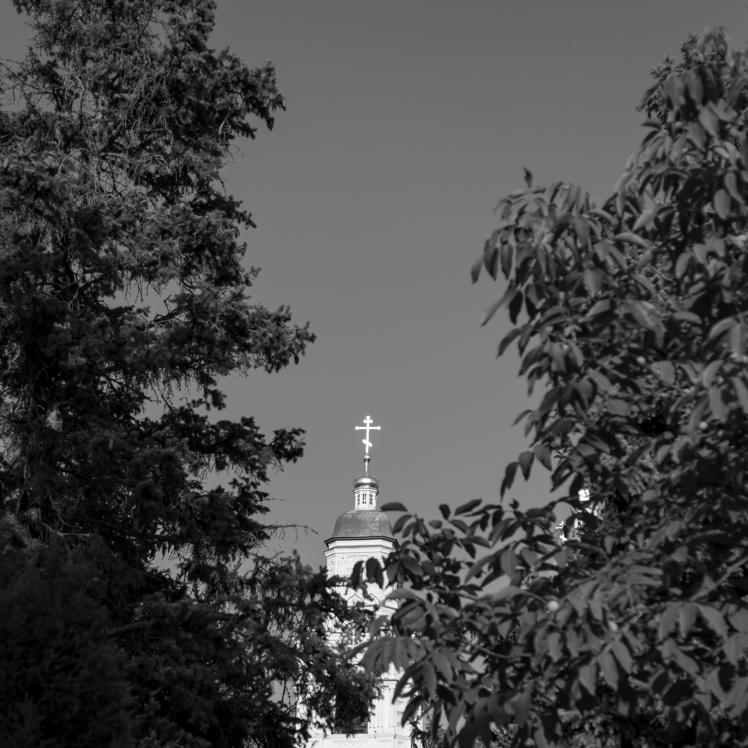 Сергей и Валентина. Профессиональный фотограф в Астрахани Оганян Аревик