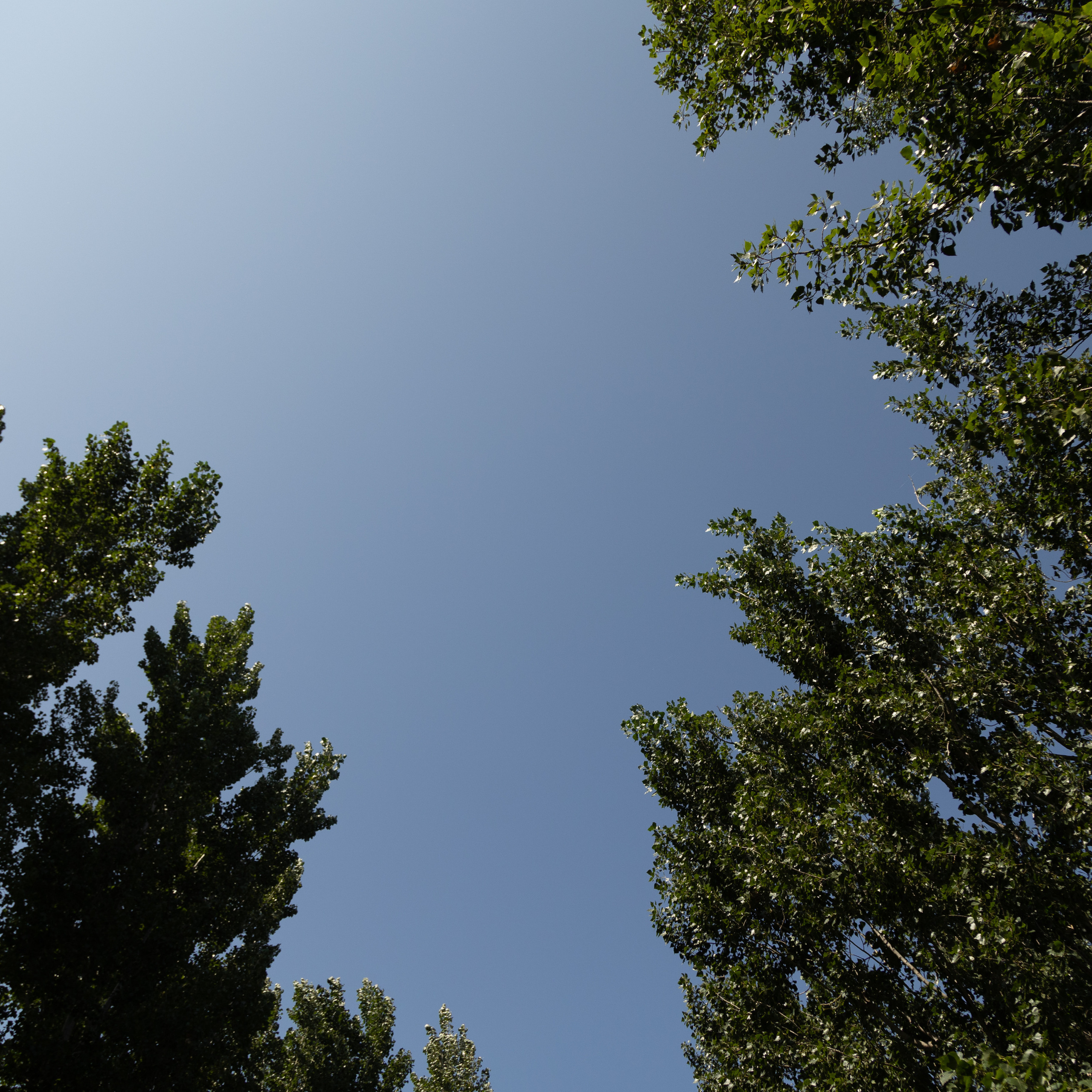 Рамир и Анна. Профессиональный фотограф в Астрахани Оганян Аревик