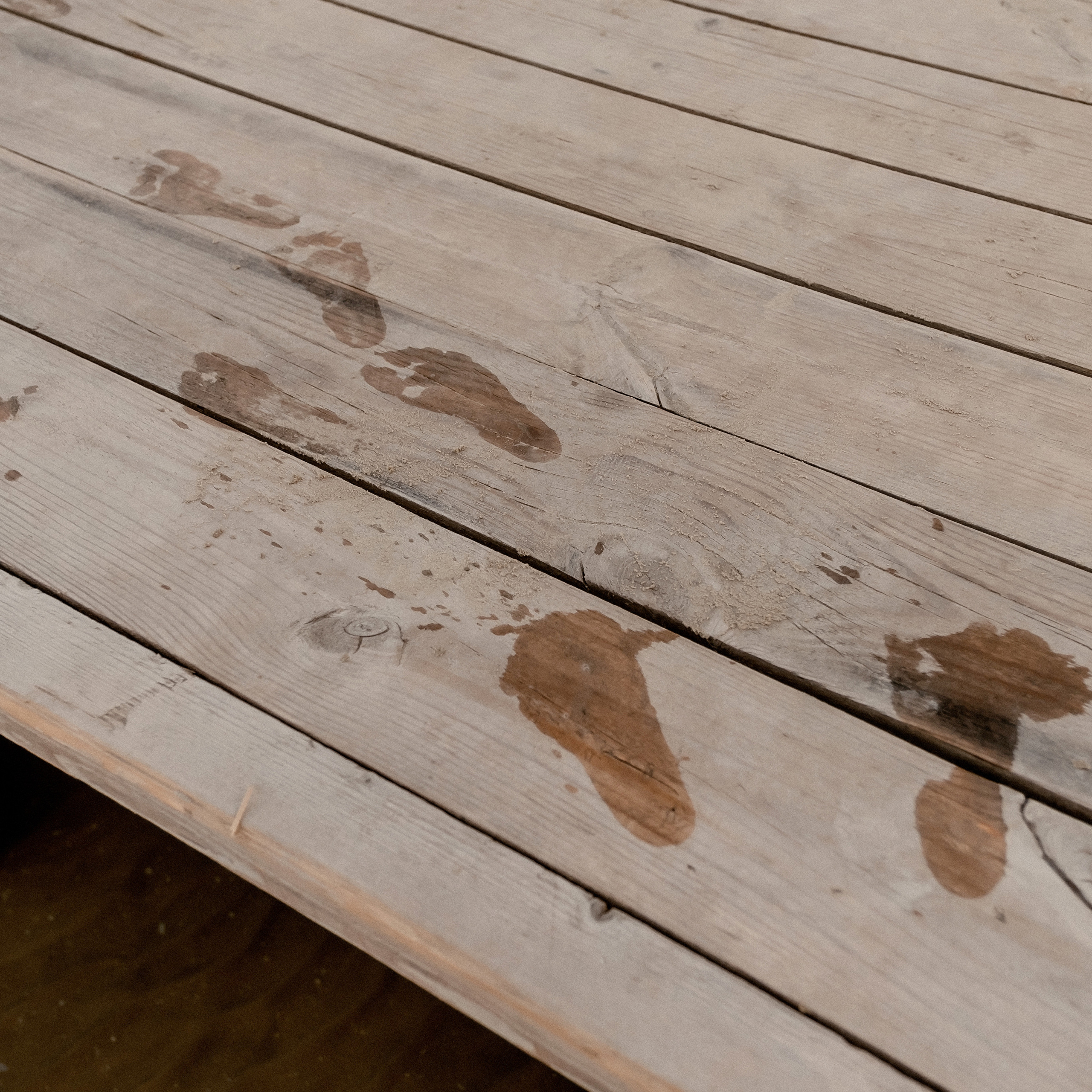 Авакяны. Профессиональный фотограф в Астрахани Оганян Аревик