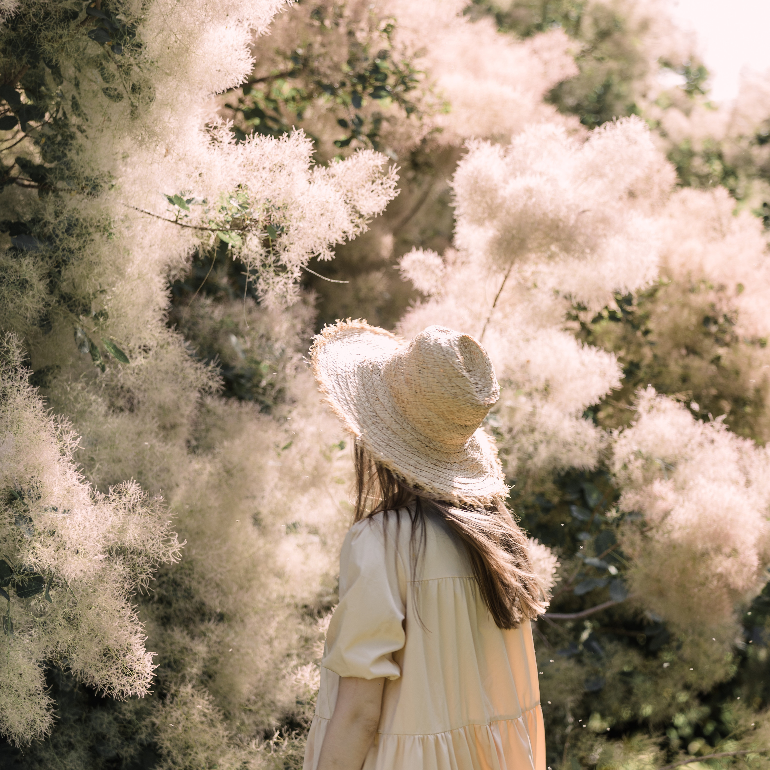 Котар. Профессиональный фотограф в Астрахани Оганян Аревик