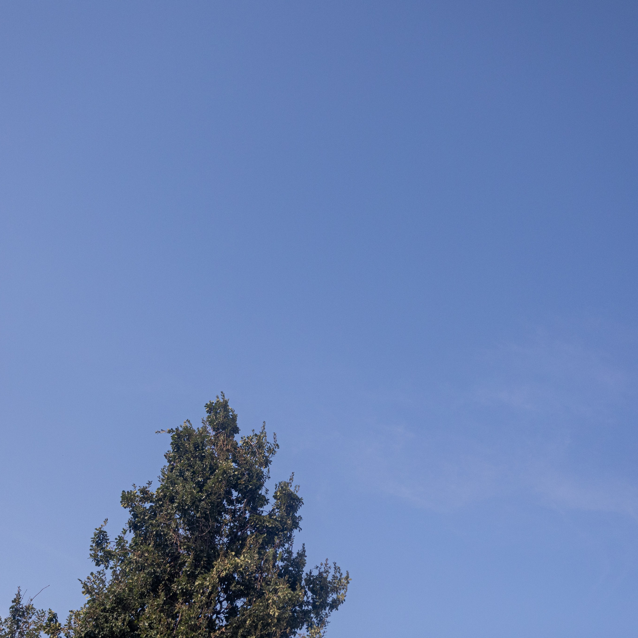 Дмитрий и Екатерина. Профессиональный фотограф в Астрахани Оганян Аревик