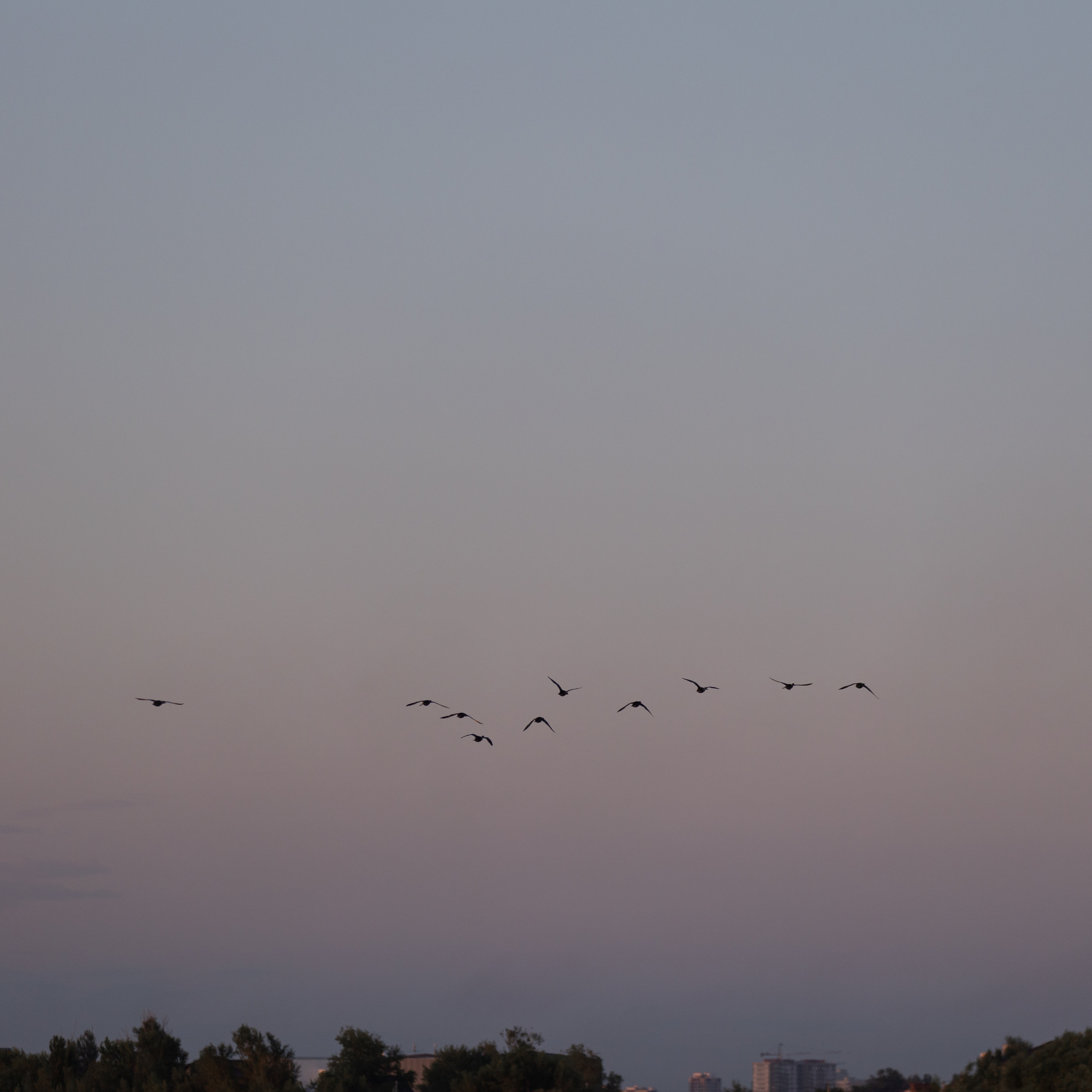 Амир и Вика (предложение). Профессиональный фотограф в Астрахани Оганян Аревик