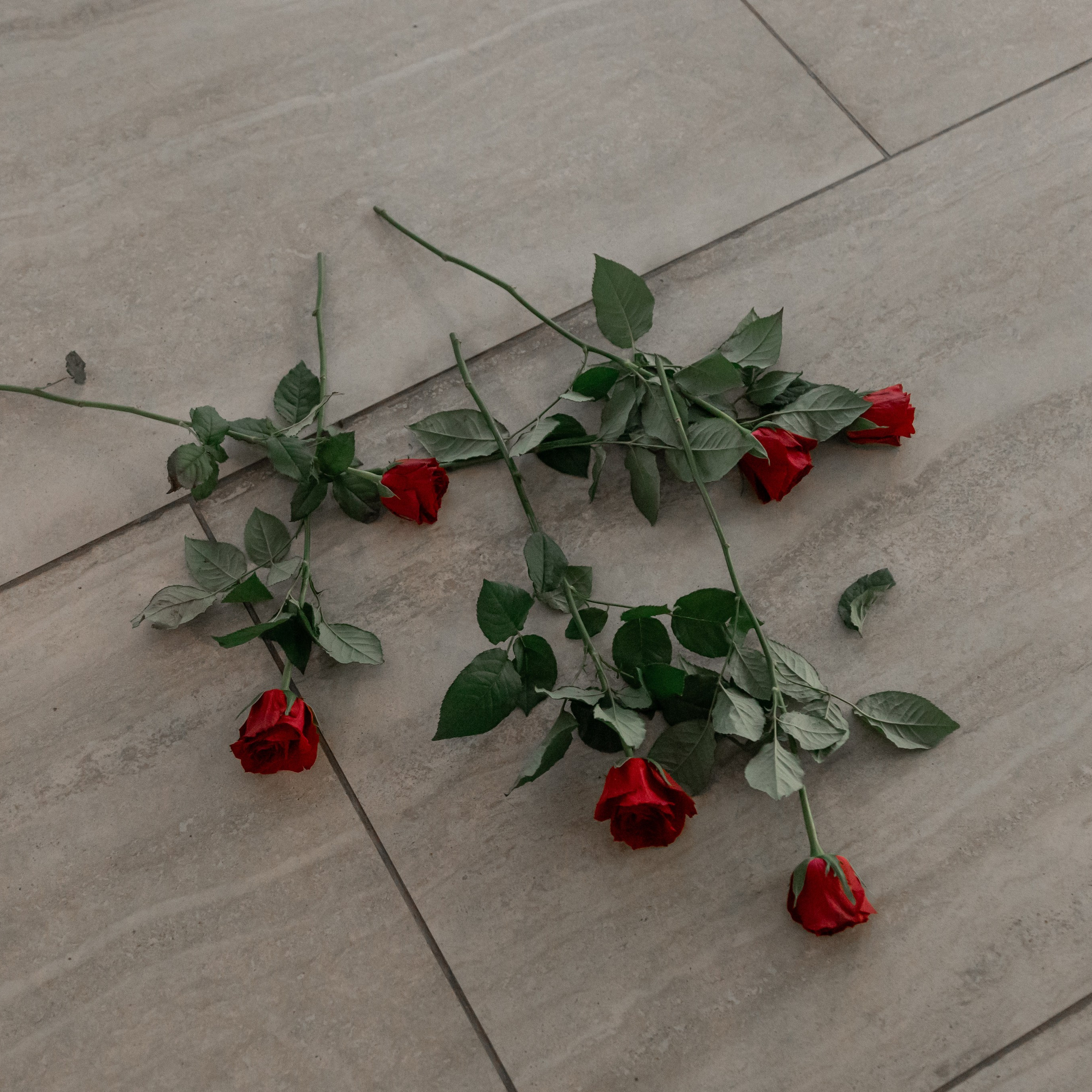 Дмитрий и Екатерина. Профессиональный фотограф в Астрахани Оганян Аревик