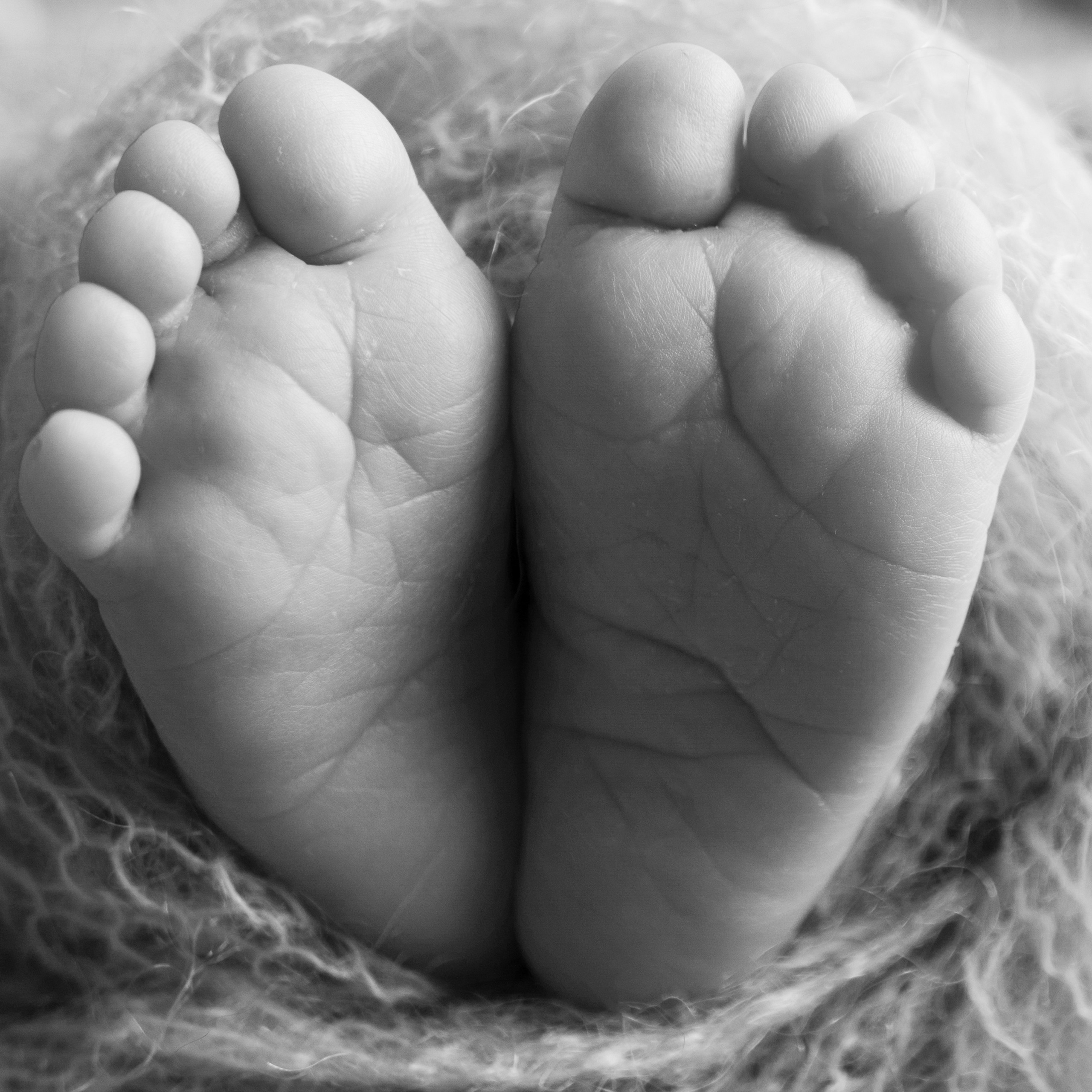 Отзывы. Фотограф новорожденных в Санкт-Петербурге Татьяна Тарасенко