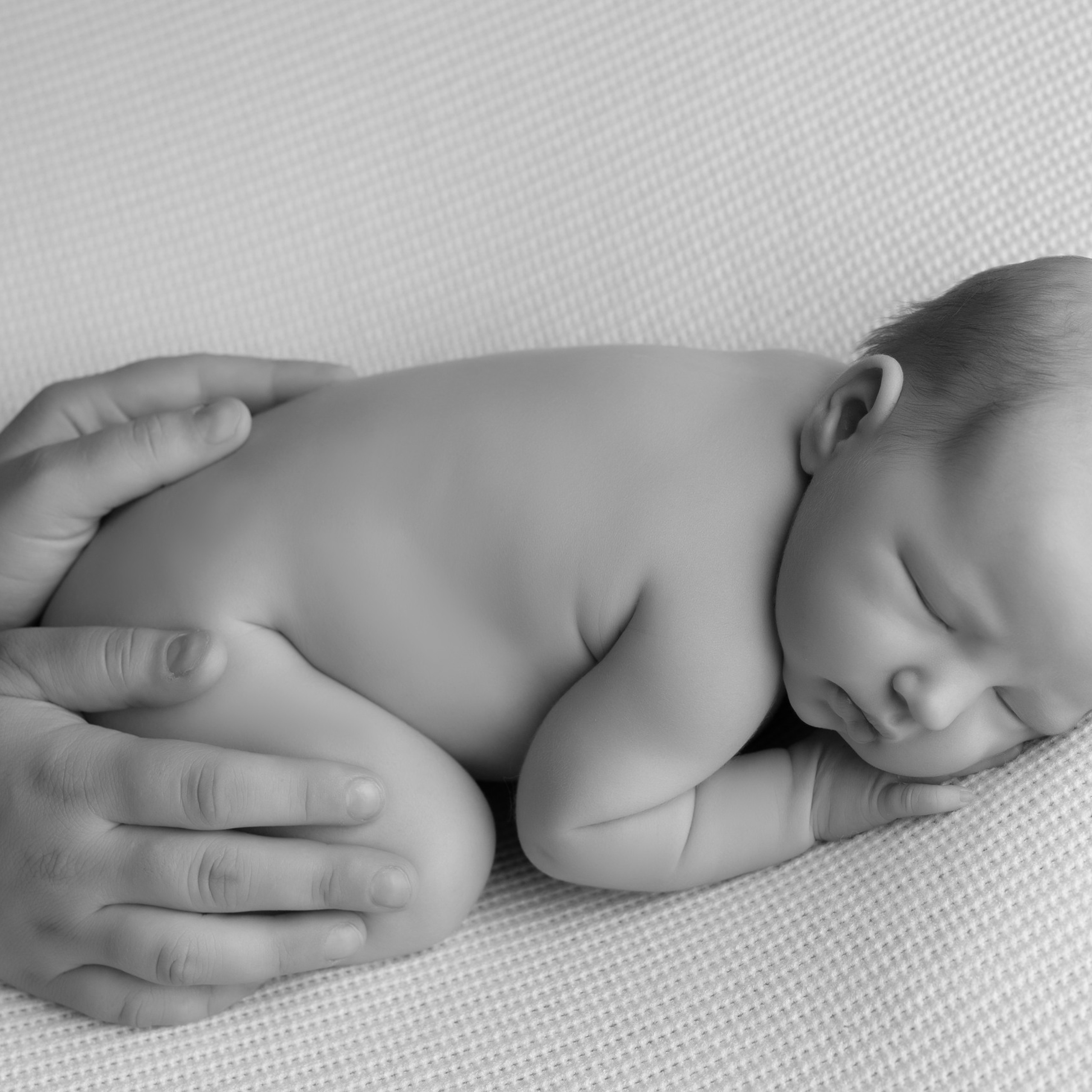 Отзывы. Фотограф новорожденных в Санкт-Петербурге Татьяна Тарасенко