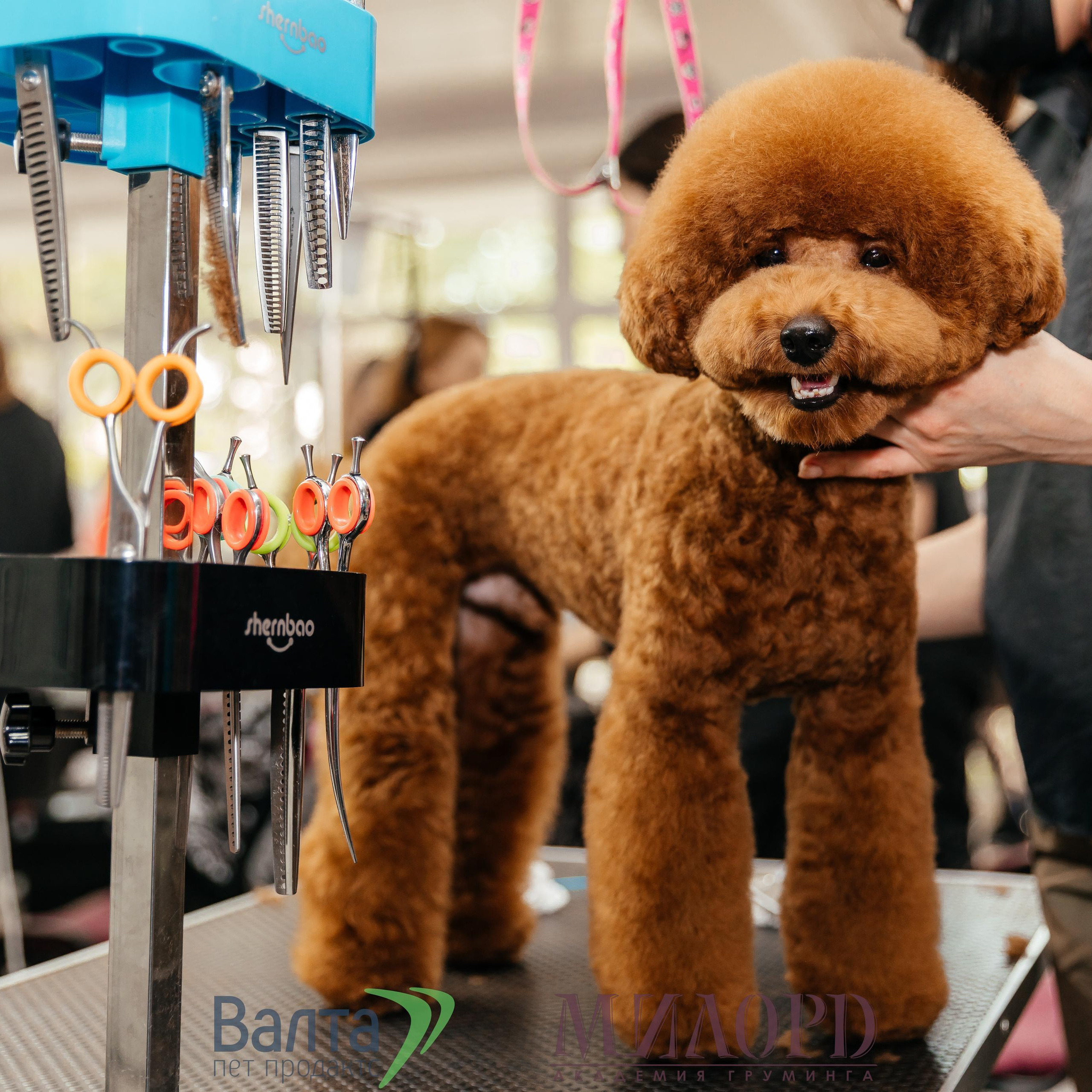 Отзывы. Свадебный фотограф в Сочи, СПБ, Москве Бражников Сергей